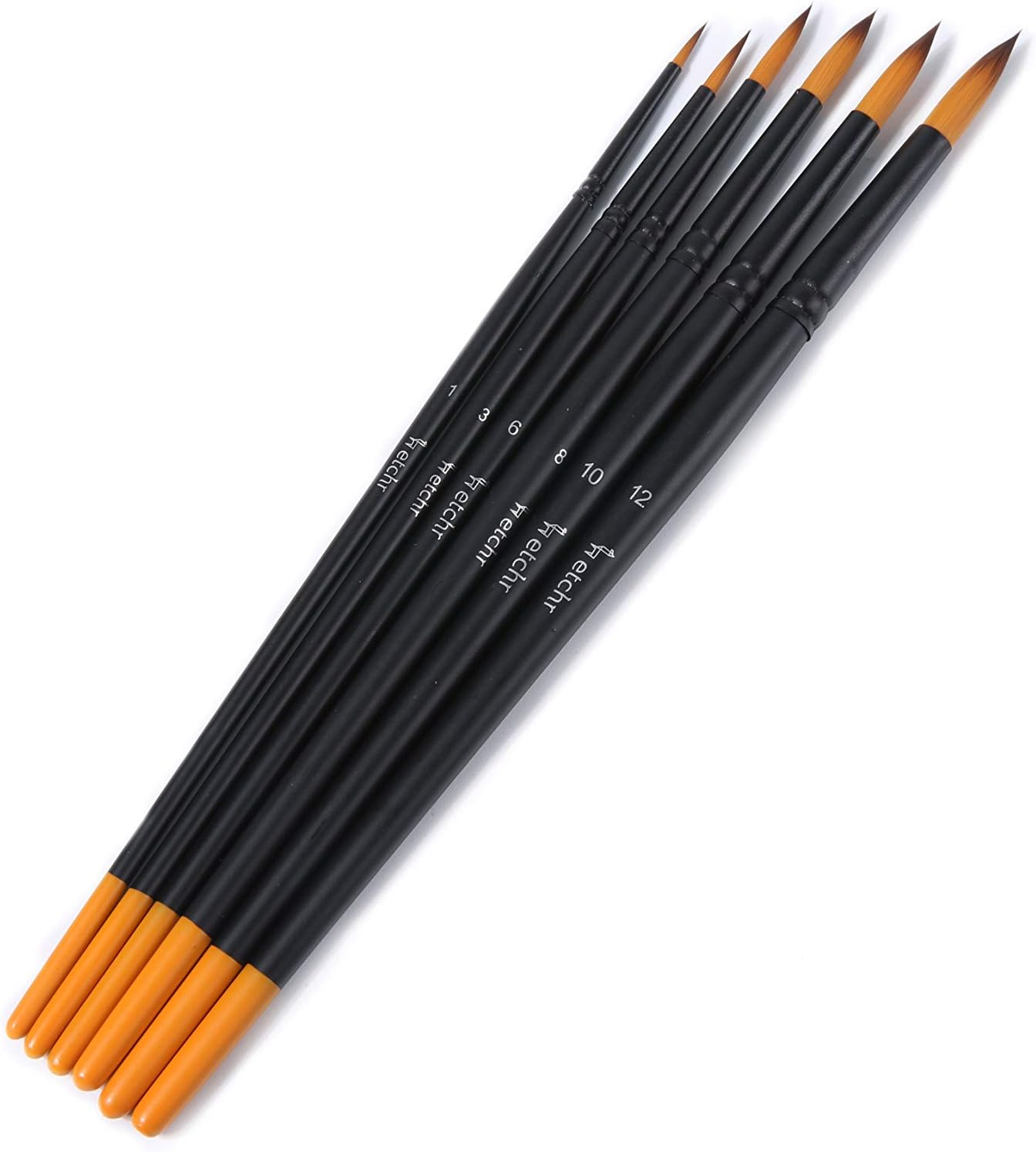 Etchr Professional Watercolor Paintbrushes - 10 Assorted Watercolor Paint Brushes in Carry Case - Quality Vegan -Friendly Watercolor Brush Set - Artist Brushes image number 2