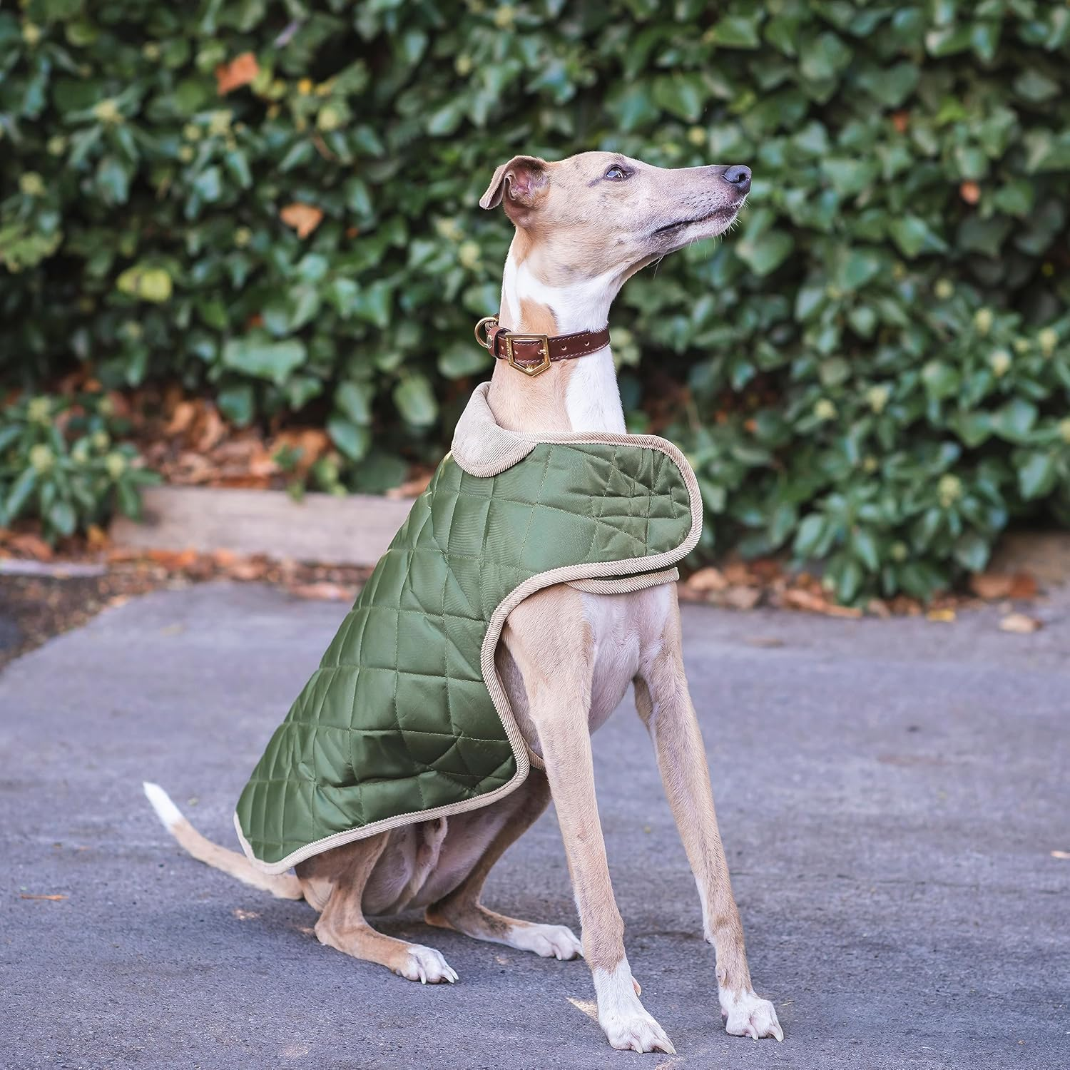 Danish Design Forest Green Quilted Dog Coat 25Cm (10") image number 2