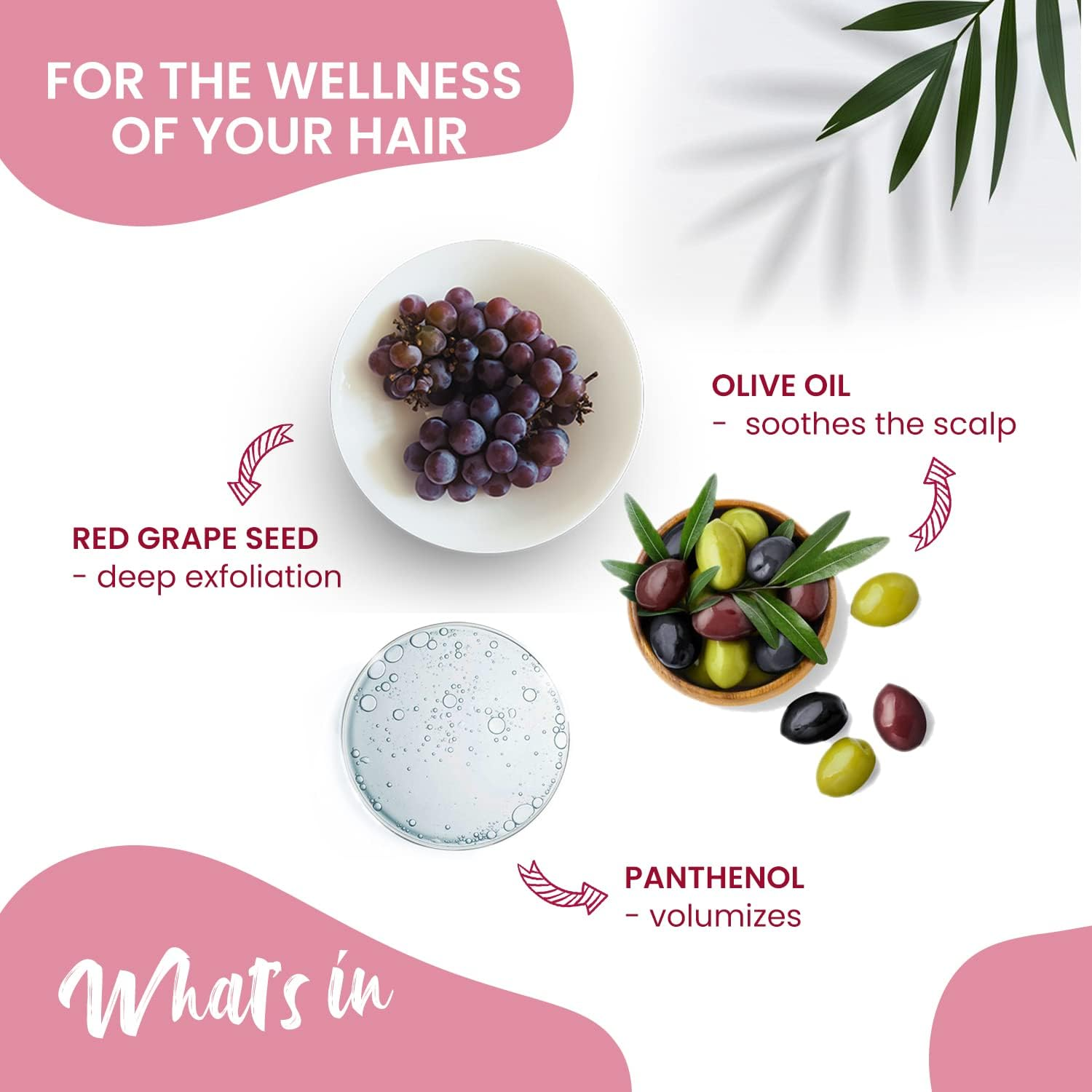 Nutriglow Natural'S Advanced Pro Formula Wine Shampoo for Hair Fall Control, Sulphate Free Women and Men All Hair Types, 150Ml image number 5