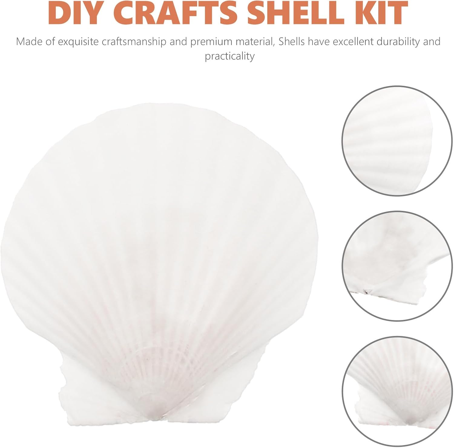 Yardwe Large Natural Scallop Shell Decoration Set 7X7 Inches White Seashells for DIY Crafts Home Decor Candle Making Aquarium Ornament Wreath Embellishment image number 5