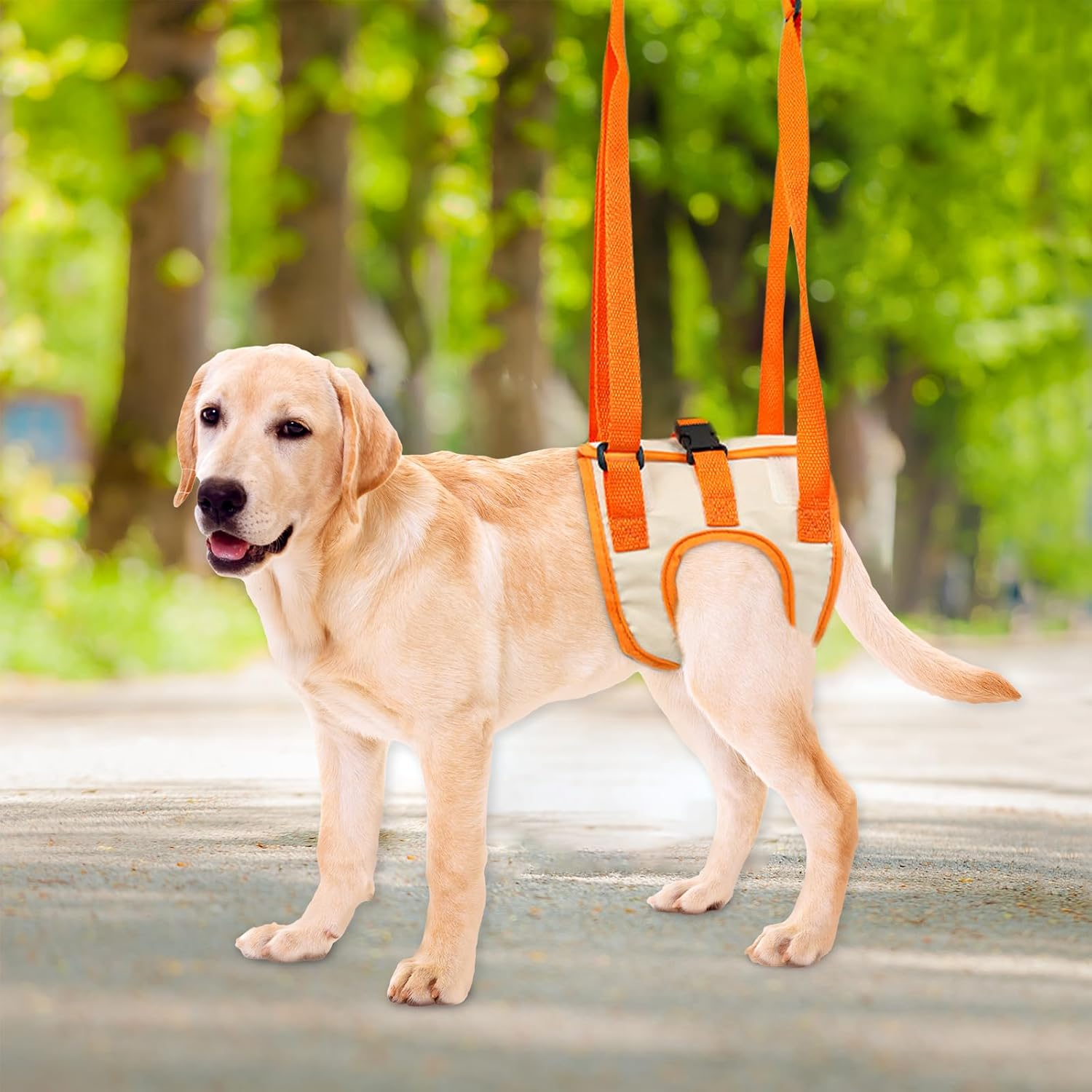 Adjustable Dog Sling Harness - Rear Leg Support Dogs Harness Comfy Design with Hind Leg for Elderly Injured Arthritic Senior Disabled Disabled Rehabilitation Aid Dog (Orange, Medium) image number 2