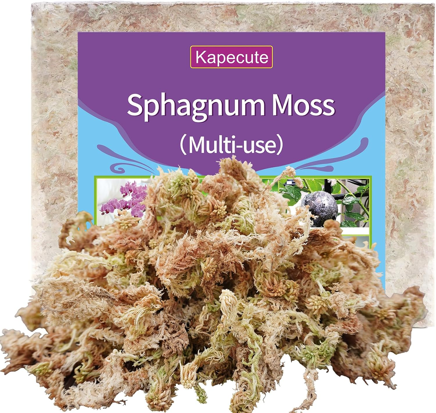 Kapecute 1.2Lb Sphagnum Moss for Plants, Great Orchid Potting Mix, Perfect Plant Root Moisture Retaining Medium image number 4