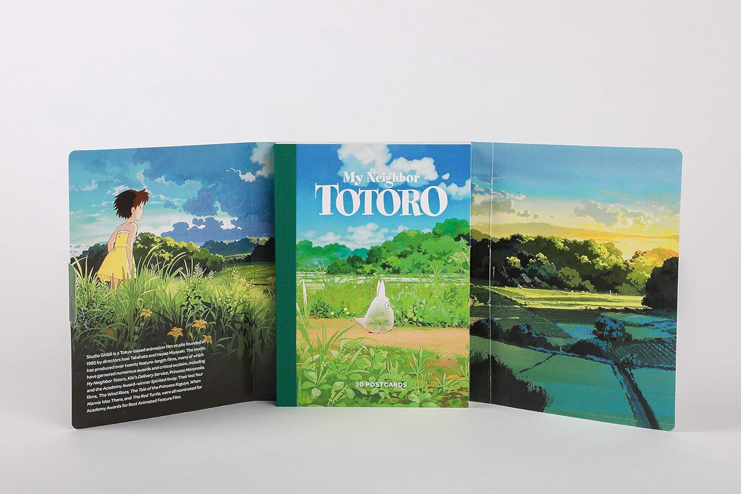 Studio Ghibli My Neighbor Totoro: 30 Postcards: (Anime Postcards, Japanese Animation Art Cards) image number 2