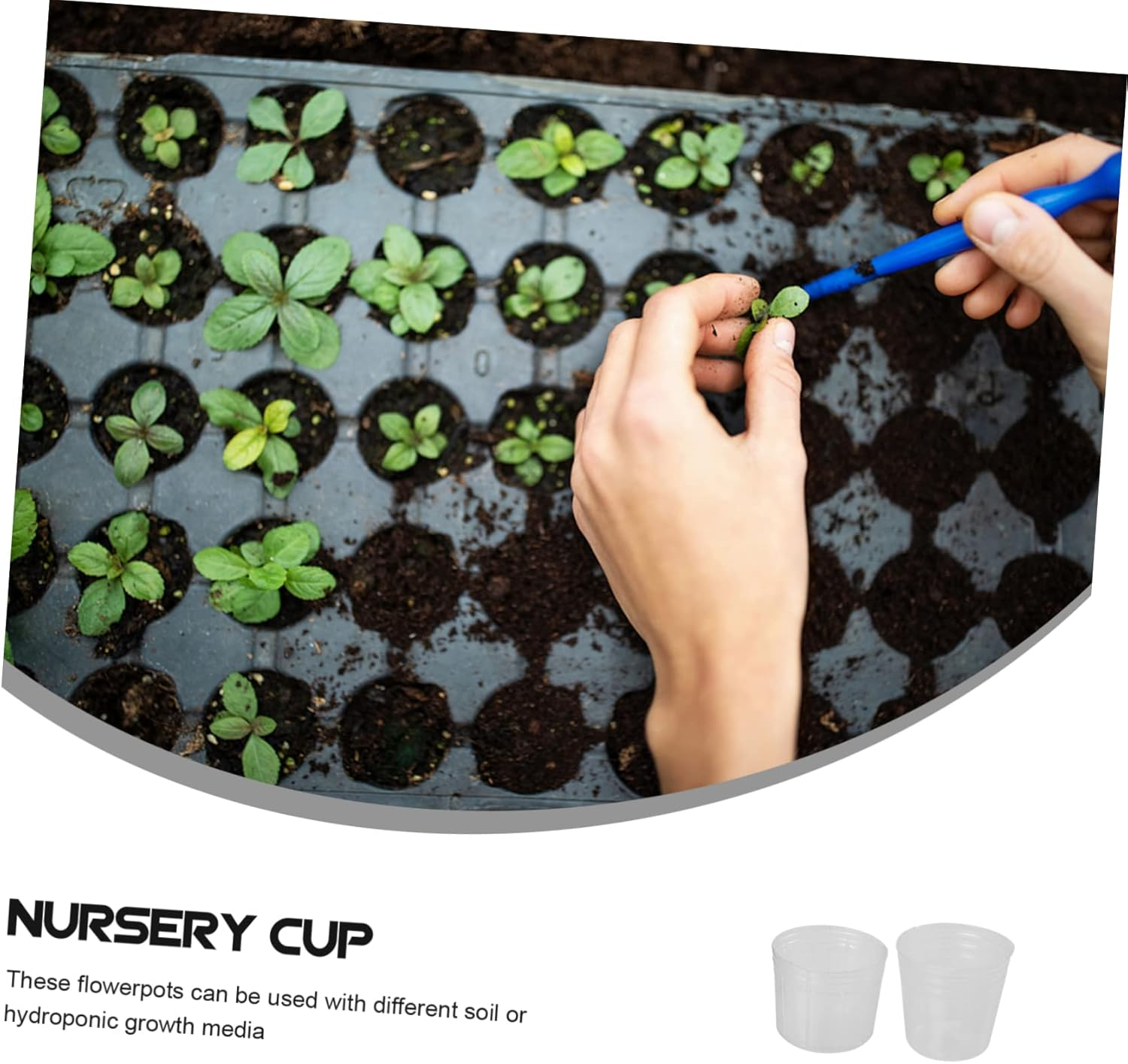 INOOMP 50Pcs Plant Nursery Cups with Dust Covers, 1.5-Inch Seedling Raising Pots for Outdoor Gardening, Flower Nutrient Cups for Orchid and Butterfly Seedlings image number 5