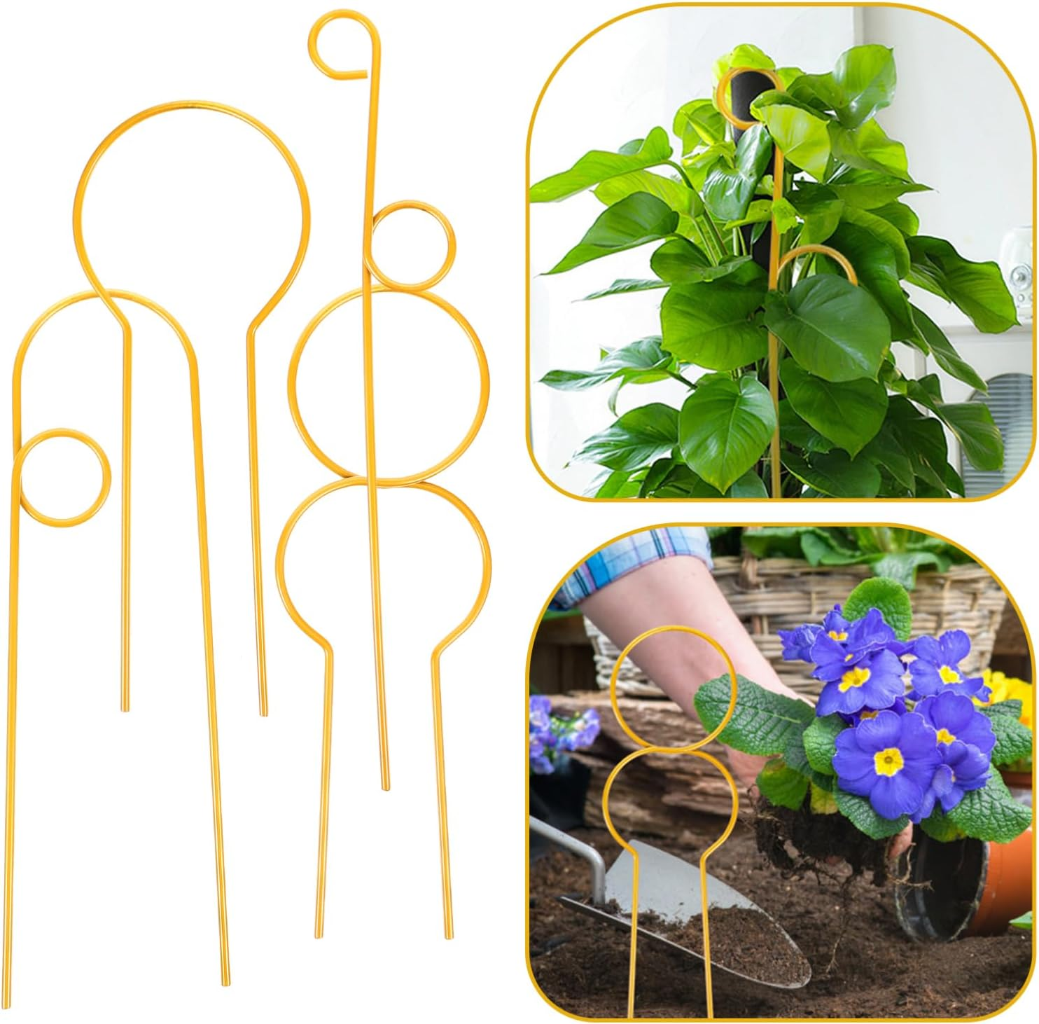 BCOATH 4Pcs Garden Trellis for Climbing Plants Support Stand for Potted Vines and Indoor Gardening for Pothos Monstera and Peppers Elegant Design image number 2