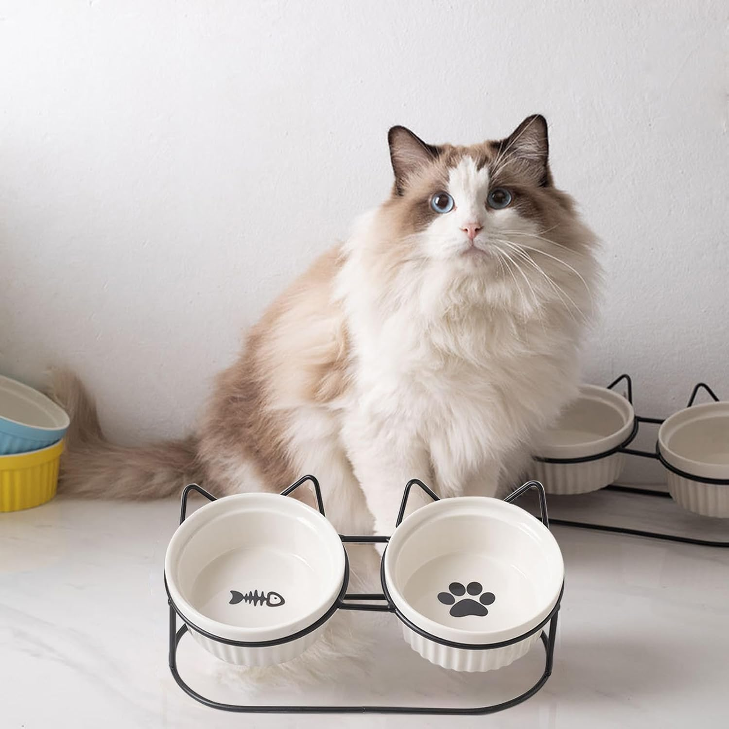 A Set Cat Bowls, Ceramic Raised Cat Food Bowl with Pet Food Mat Elevated Kitten Drink Bowl Black Stand for Food and Water anti Vomiting Dish for Indoor Cats Puppy Small Dogs (Black) image number 4