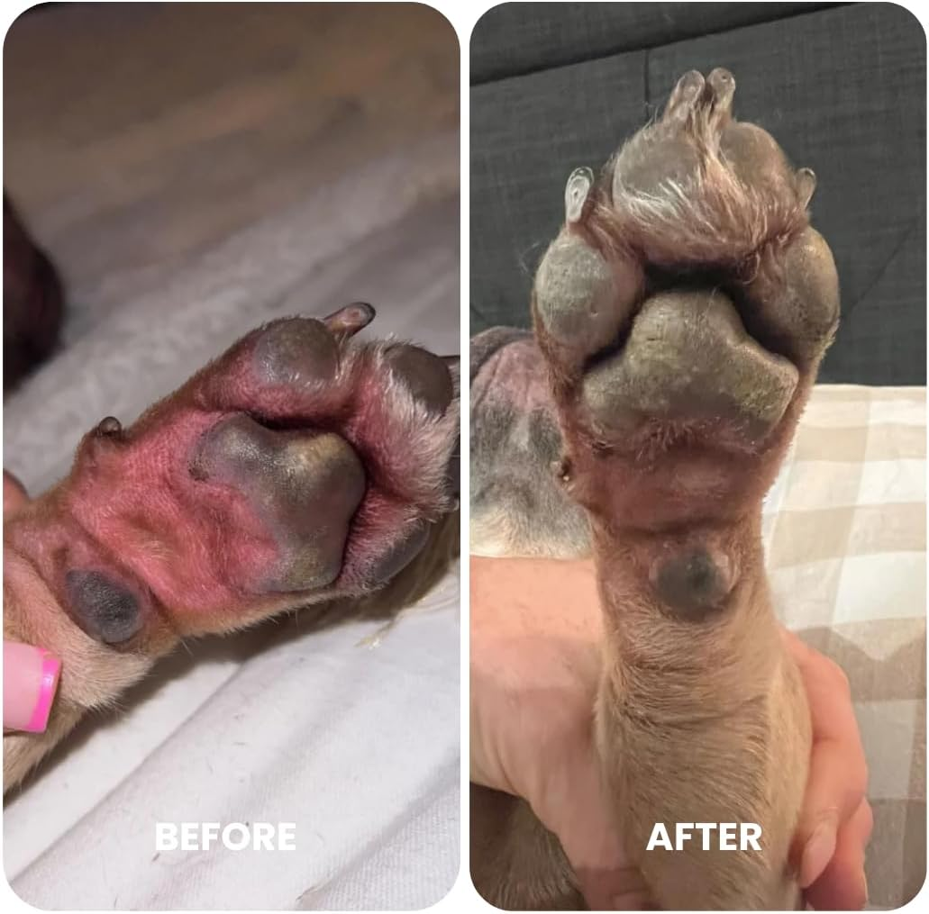 Nourish Pet Co. Derma Cream - Dog Skin Irritation Treatment, Hot Spot and Itch Relief for Dogs, Fast-Acting Moisturizing Formula, Soothes Dry Skin, Fragrance Free, 75G image number 1