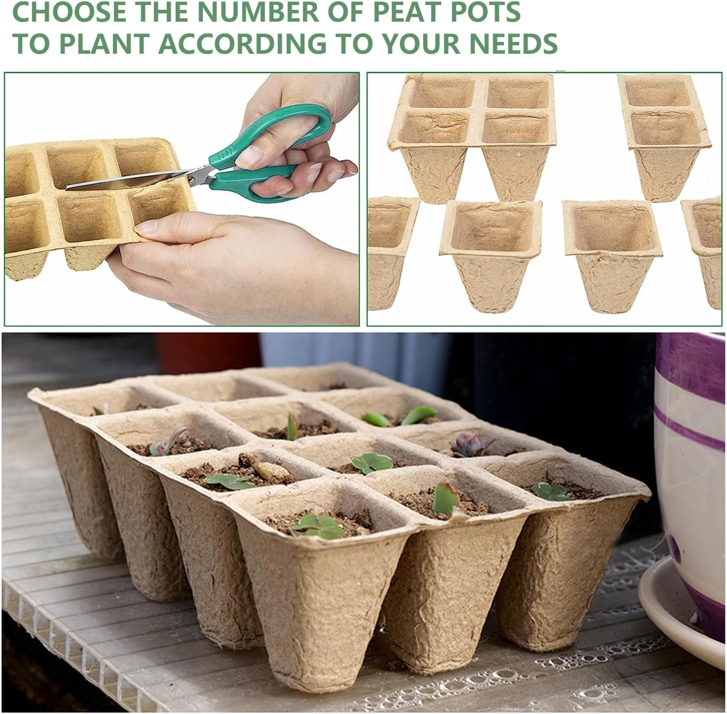 Doubleggs 360 Cells Seed Starter Tray, 30 Packs Biodegradable Peat Pots for Seedlings, Organic Germination Plant Starter Kit with 200 Labels and 2 Transplant Tools image number 6