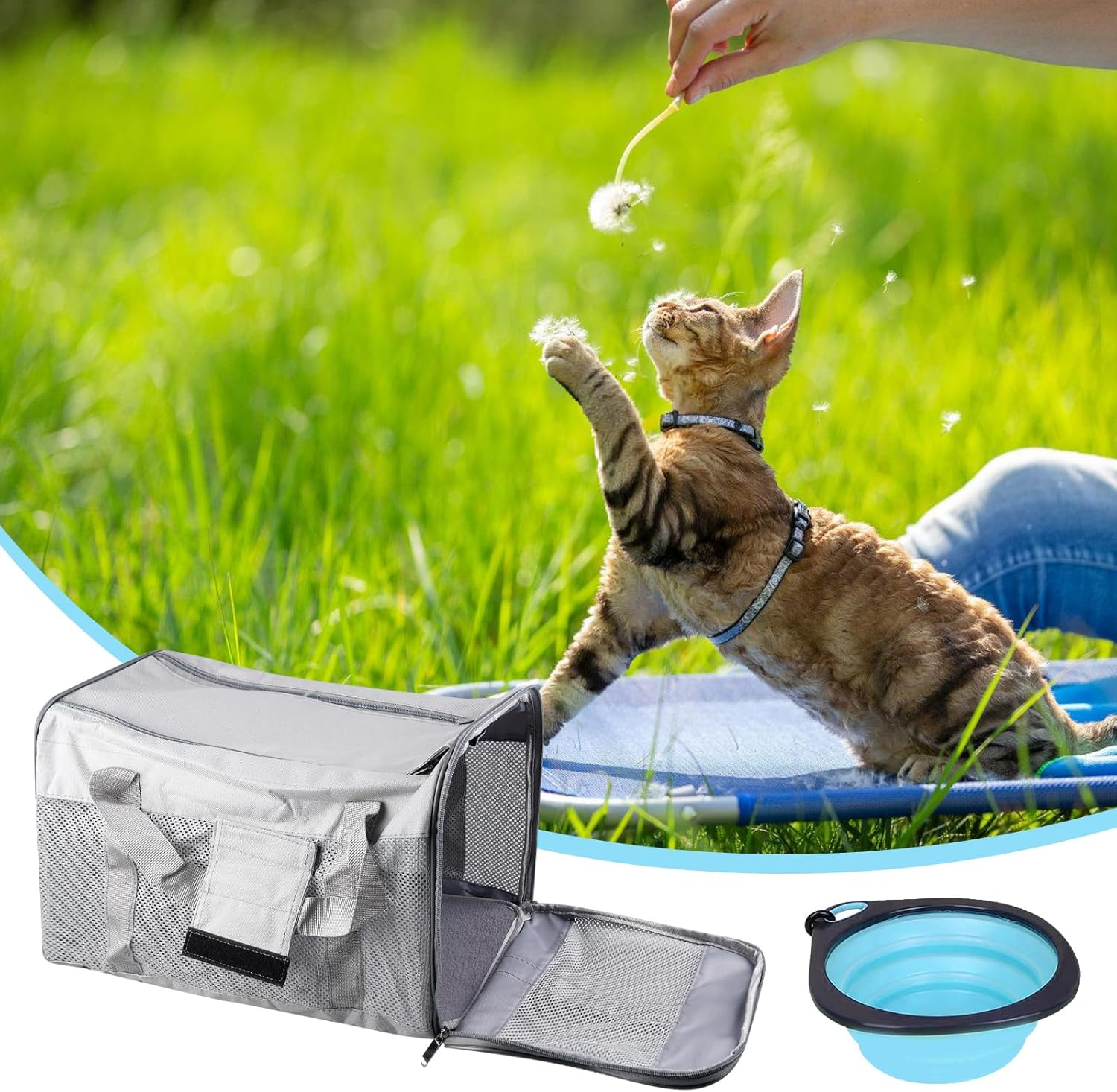 Vegena Transport Box Cat Dog Transport Box Dog Box Foldable Dog Transport Box Cat Transport Boxes Dog Bag Cat Transport Bag Includes Dog Bowl 42 X 27 X 28 Cm (Grey) image number 3