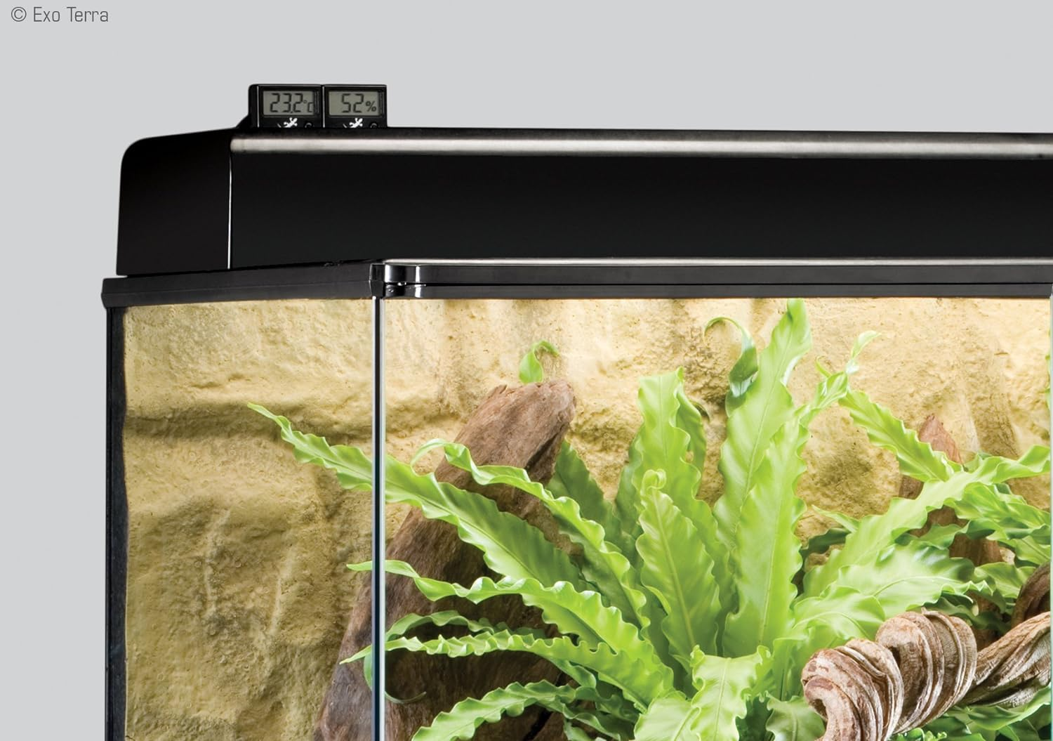 Exo Terra LED Rept-O-Meter Digital Combination Thermometer/Hygrometer image number 5