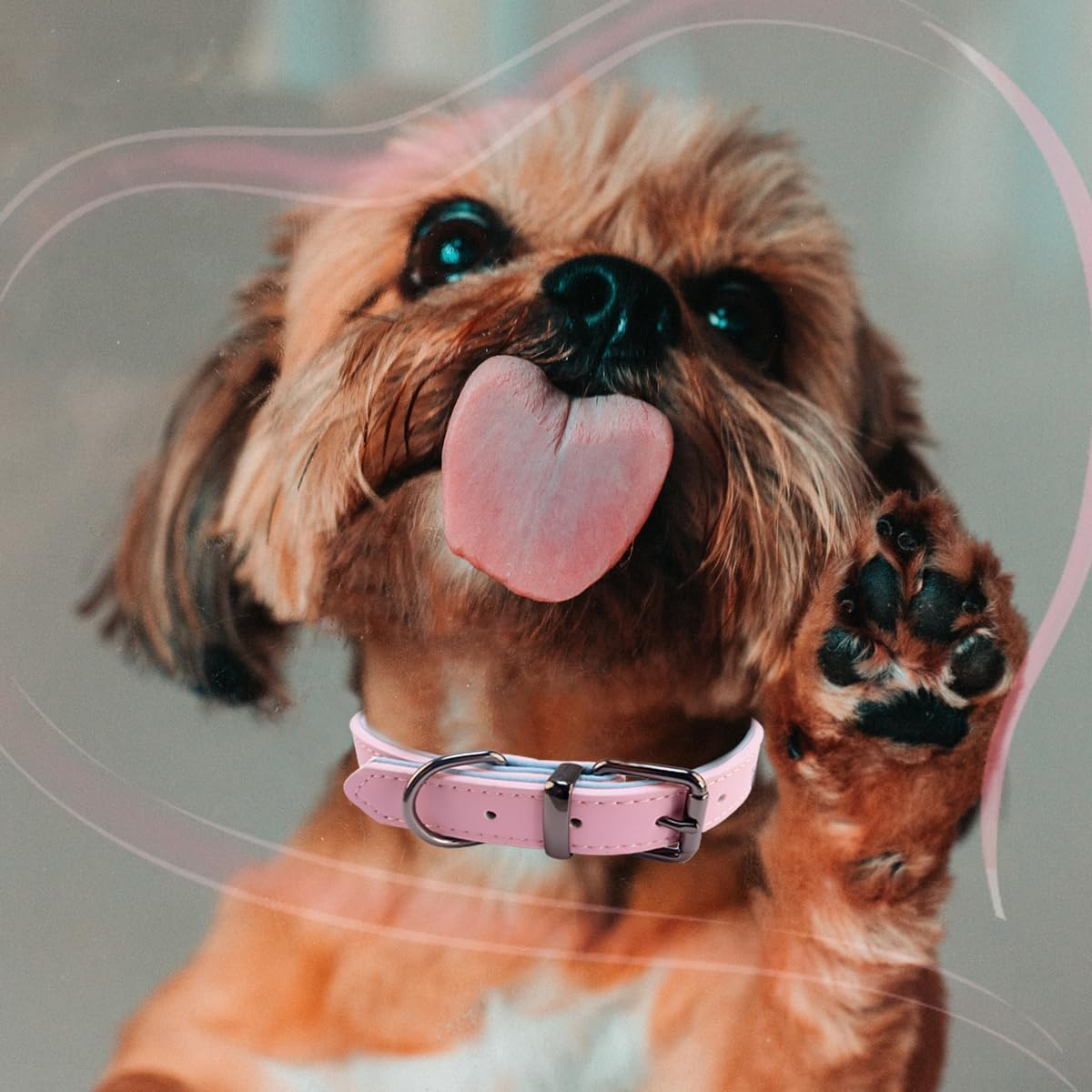 Soft Leather Pet Collar, Premium Leather Dog Collar, Adjustable Pink Fashionable and Elegant Dog Collar, Comfortable Padded Dog Collar for Large Dogs image number 1