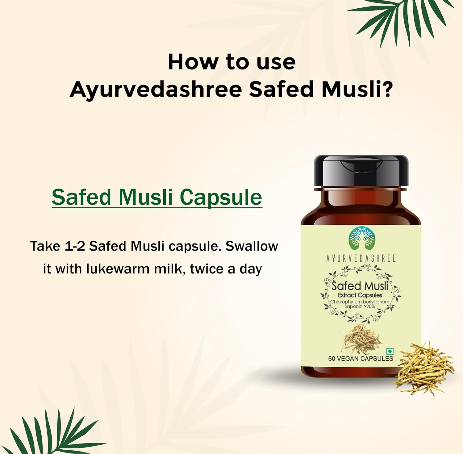 Safed Musli Extract 500Mg - 60 Vegetarian Capsules | Chlorophytum Borivillianum | All Natural | 100% Vegan | Gluten-Free | GMP Certified.