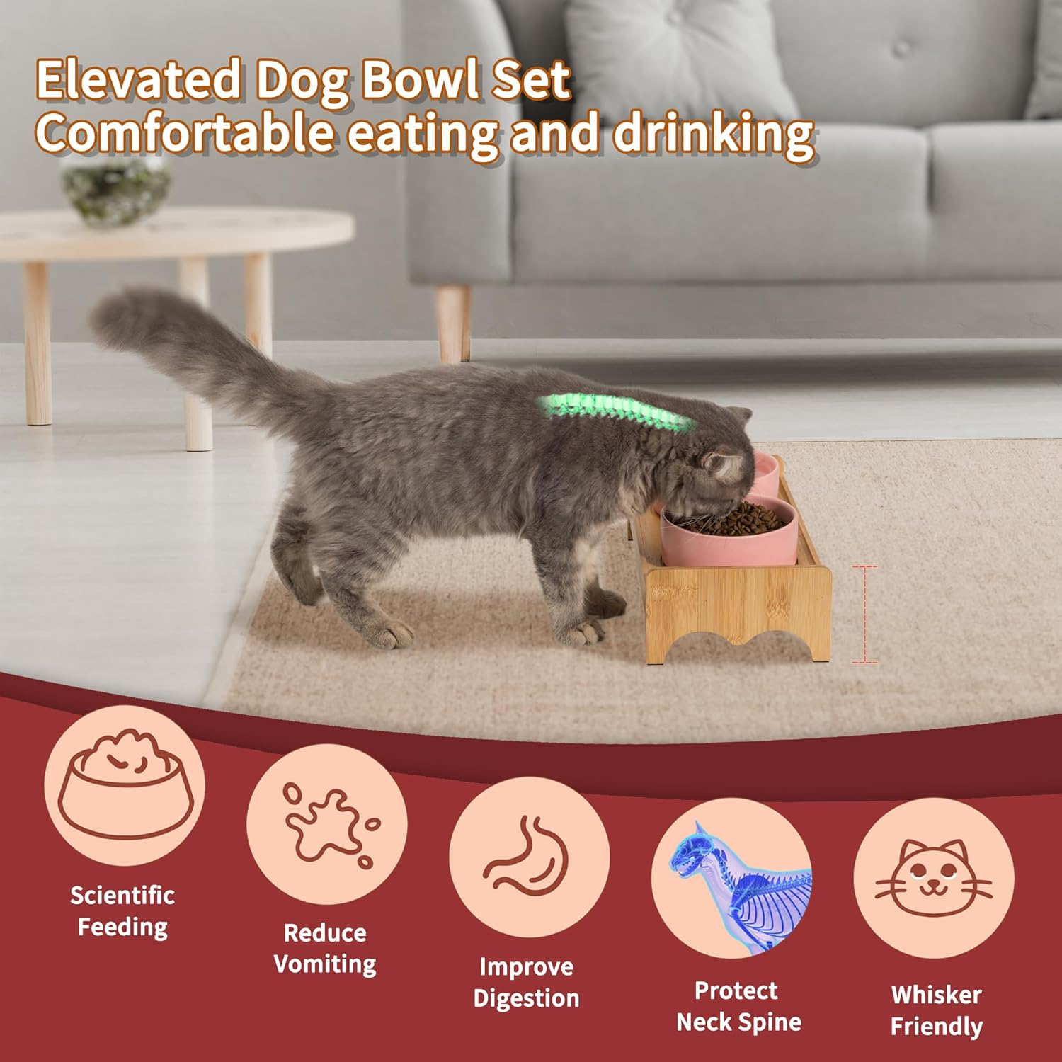 Elevated Ceramic Dog Bowl Set - Double Raised Dog Food and Water Bowls with Bamboo Stand - Pet Dishes for Cats and Puppies - 16.23 OZ - 2 Cups image number 3