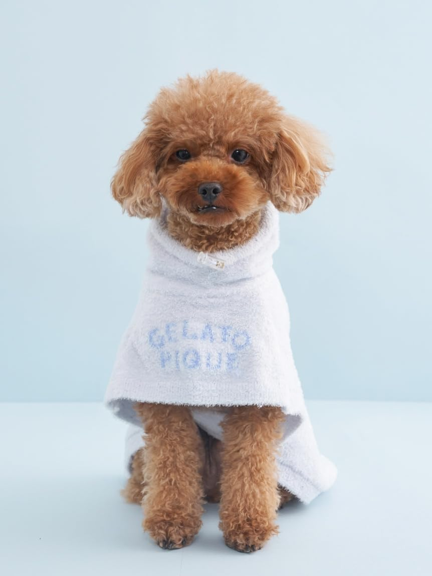 Gelato Pique Cat & Dog CAT & Dog (Birthday) Smooth Cape PAGG259137 BLU M image number 3