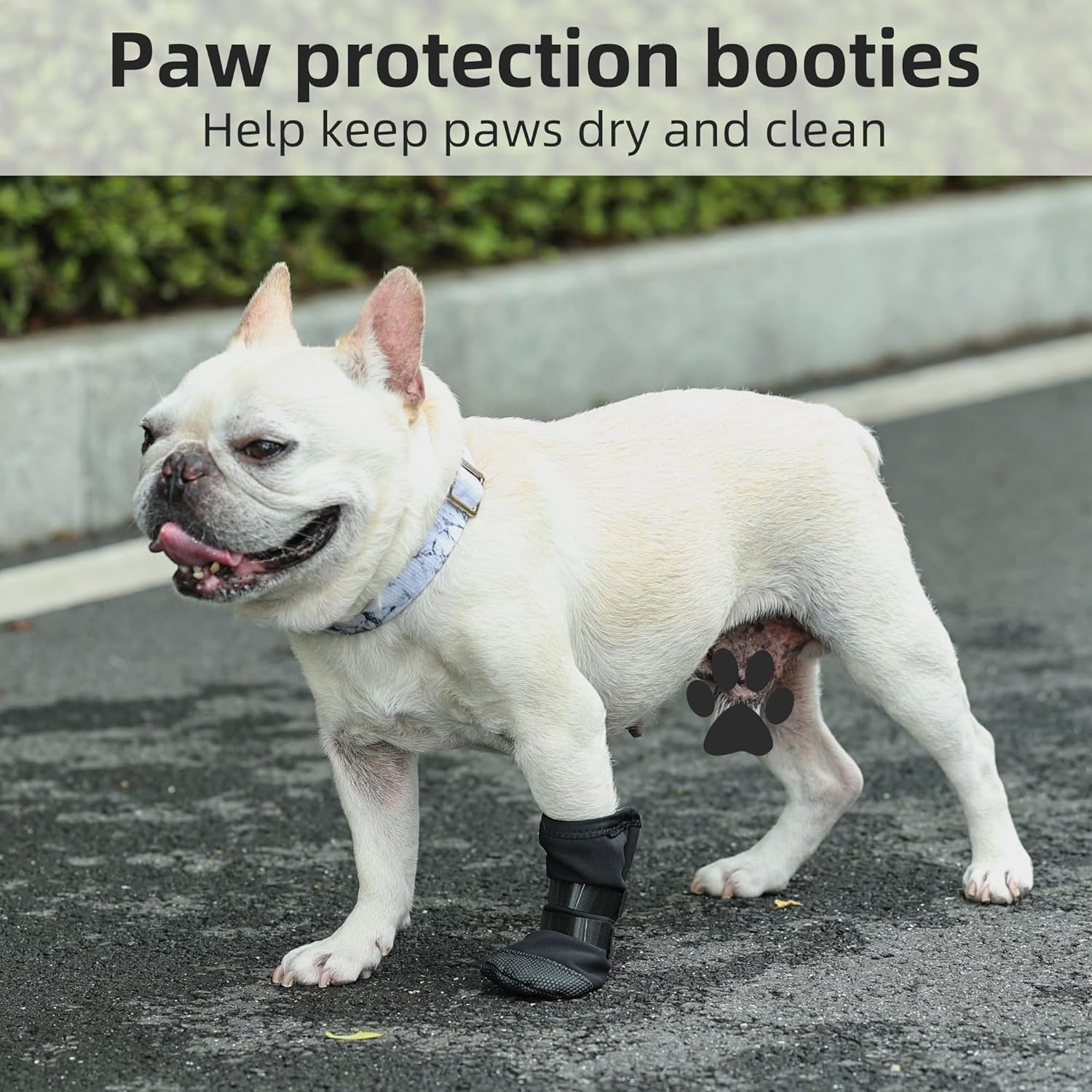 Dog Paw Wound Recovery Boot, Waterproof Bootie for Injured Paw, Anti-Slip Dog Shoe with Strap, Breathable Protector for Outdoor Walking & Keep Dogs from Licking Wounds (Black, S)