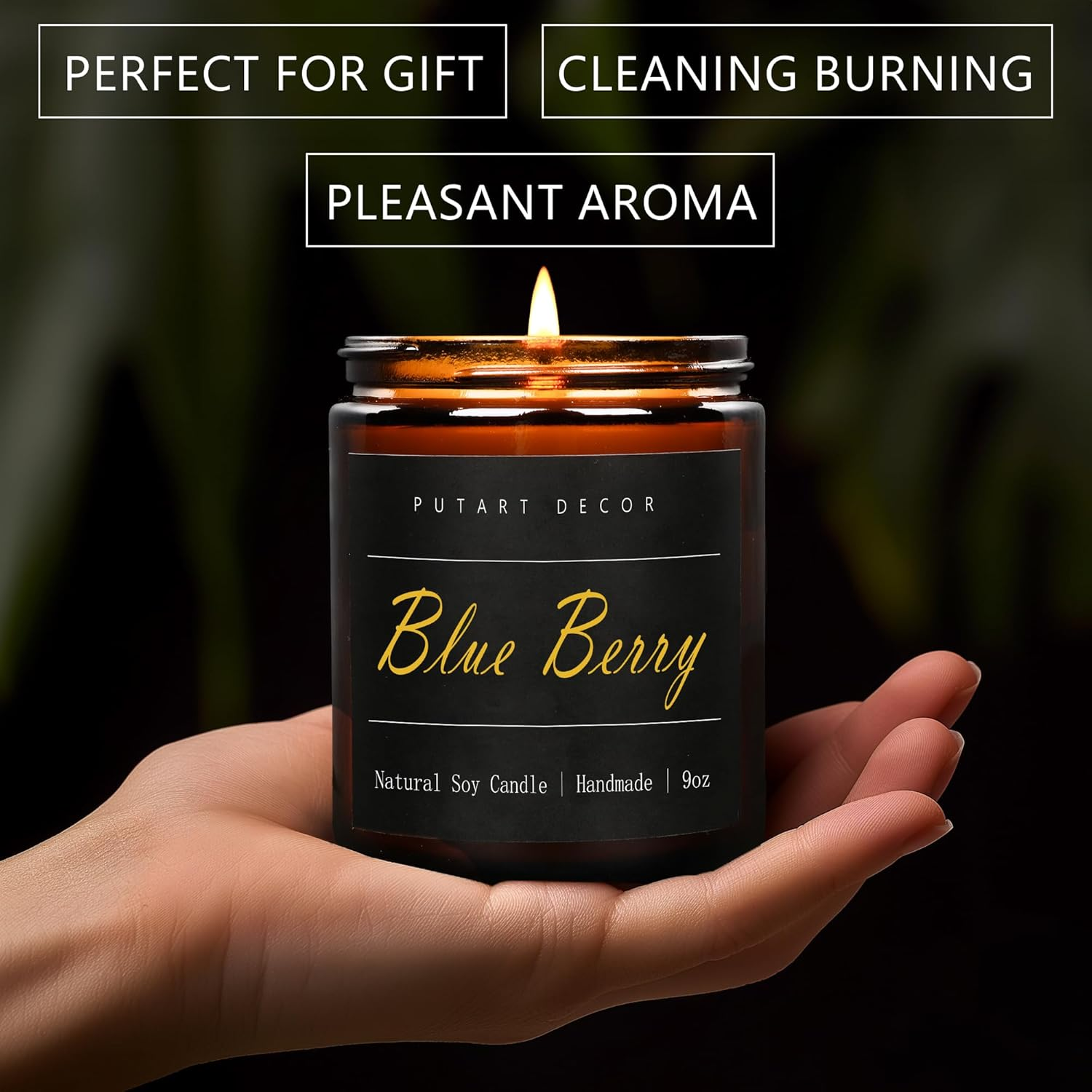 Blue Berry Candles for Home Scented, Natural Soy Aromatherapy Non Toxic Candles with Long Lasting Fragrance & Clean Burn, Luxury Jar Candle for Women, Men, Home Decoration 9Oz image number 1