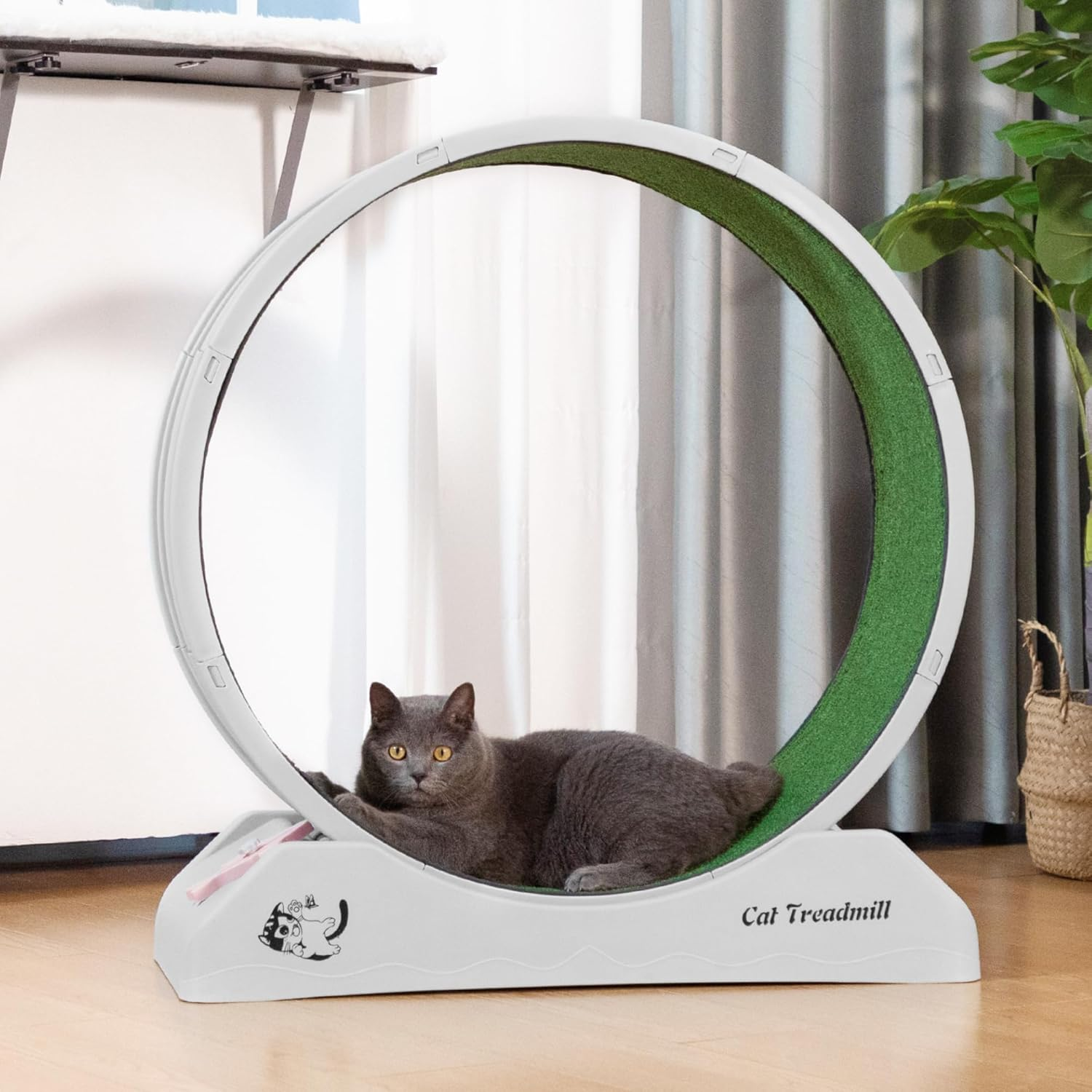 Cat Wheel Exerciser Cat Treadmill Cat Wheels for Indoor Cats Exercise Wheel Indoor Cat Running Wheels for Indoor Cats Grey image number 3