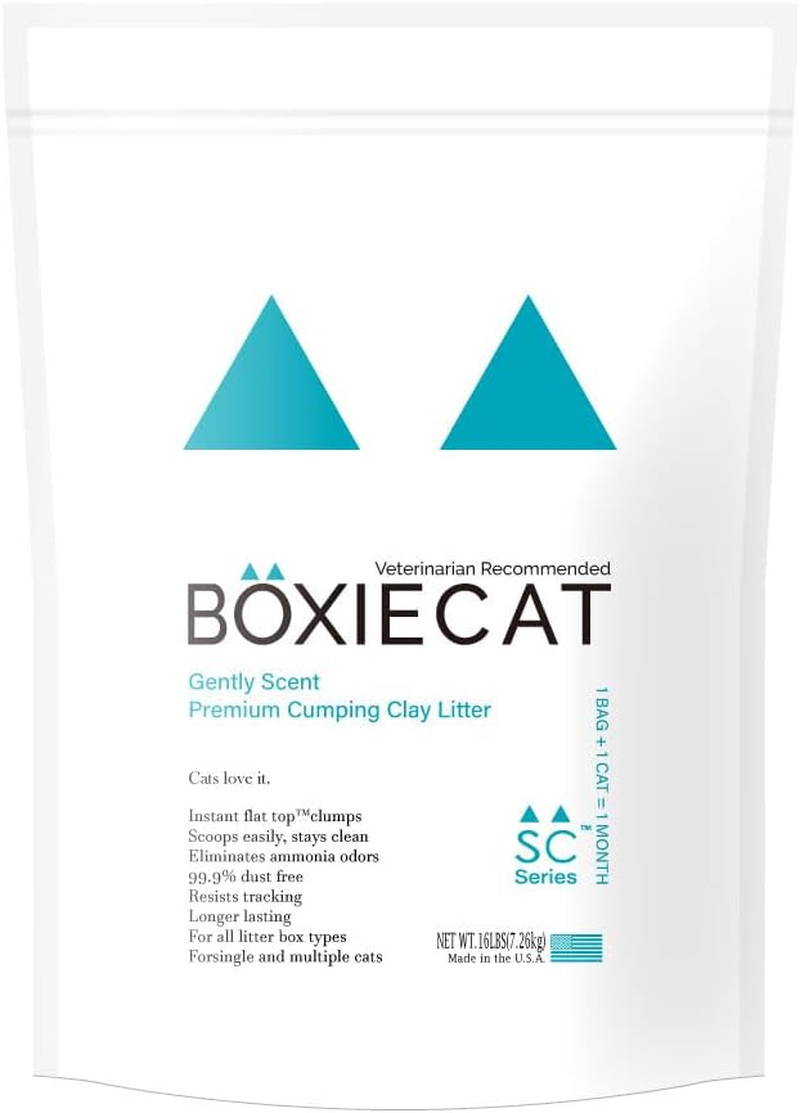 OFT Blue Boxy Cat Litter, 15.7 Lbs (7.2 Kg), Hardening, Bentonite, Unscented, Colorless, Natural Antibacterial Sand, Prevents Odor, Dust Resistant, Recommended by Veterinarians
