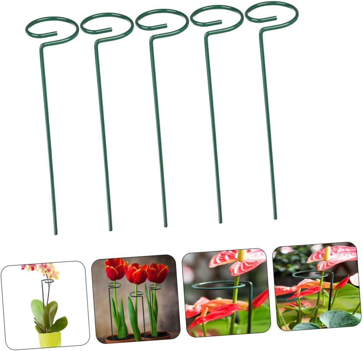 5Pcs Garden Plant Support Stakes Single Stem Support for Hydrangea Plant Stands Height for Orchids and Flower Growth Stabilization image number 2