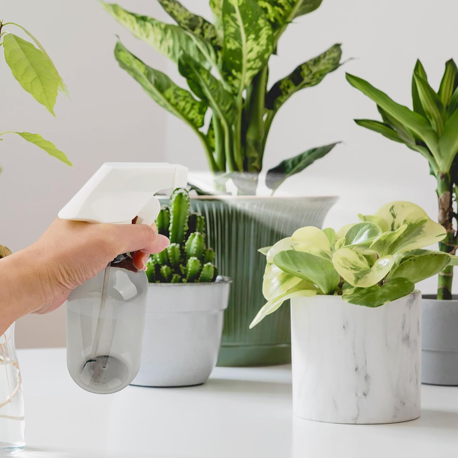 YOLCAR 300Ml Clear Black Plastic Spray Bottle - Premium Adjustable Nozzle, Ideal for Lawn & Garden, Hair Care, and Cleaning Supplies image number 4