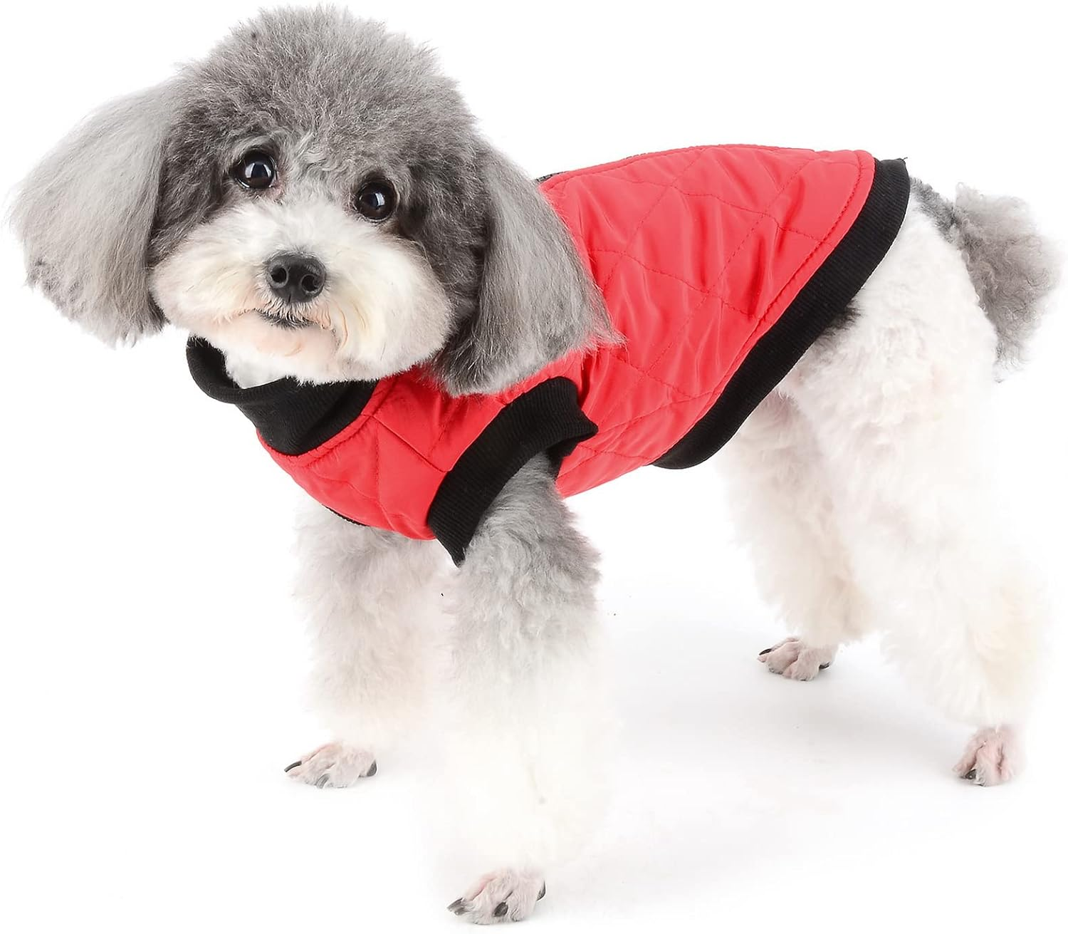 Zunea Small Dog Jacket with Harness Winter Coat Soft Warm Cotton Padded Puppy Harness Vest Clothes with Leash Rings Zipper Pet Clothing Cold Weather Outdoor Apparel for Chihuahua Doggy Girls Boys Red S image number 1