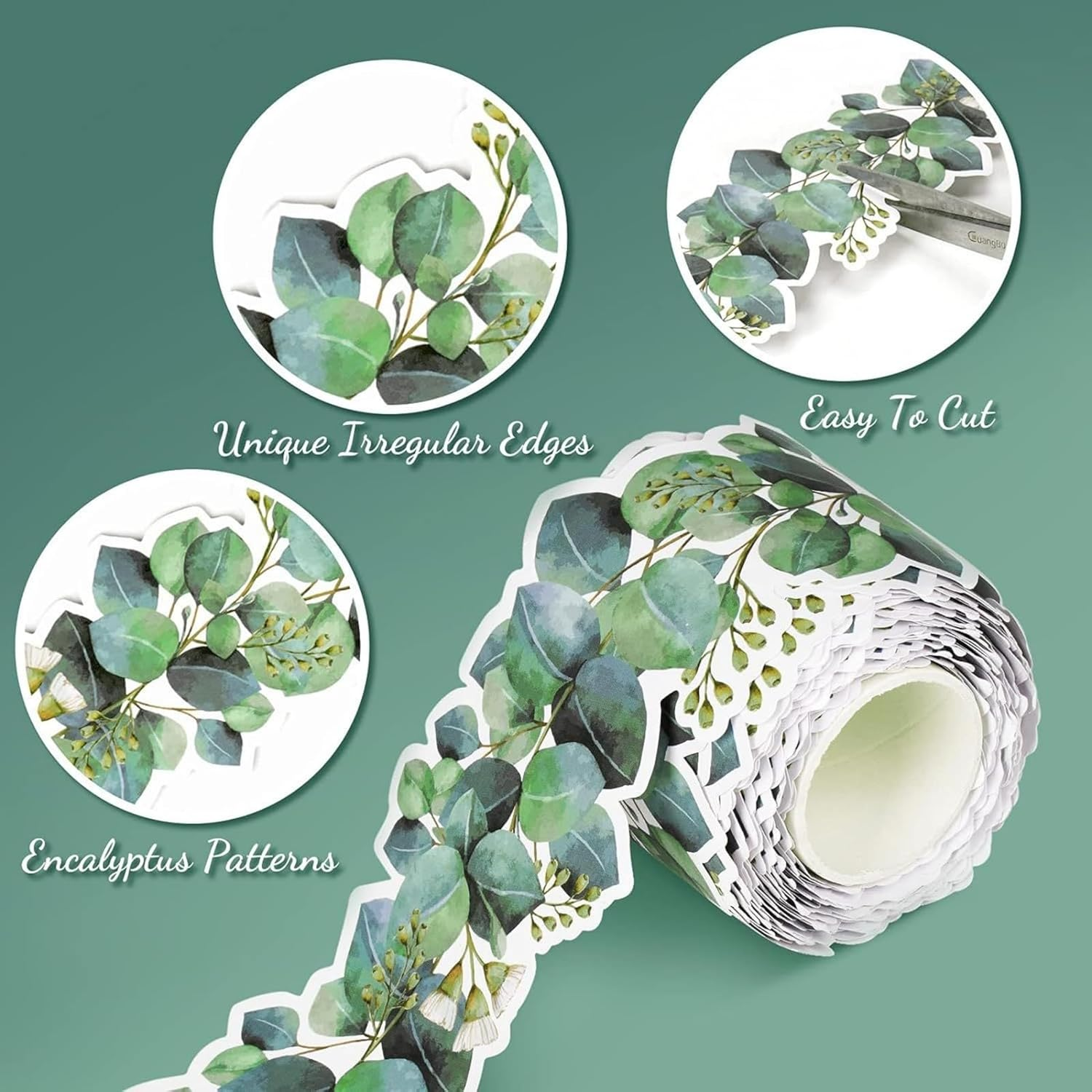 Display Borders for Classrooms,Display Board Borders,Eucalyptus Border Bulle-Tin Board,Bulle-Tin Board Border,Display Border Roll,Green Display Borders Classroom Decoration,Wall Decals Border image number 3