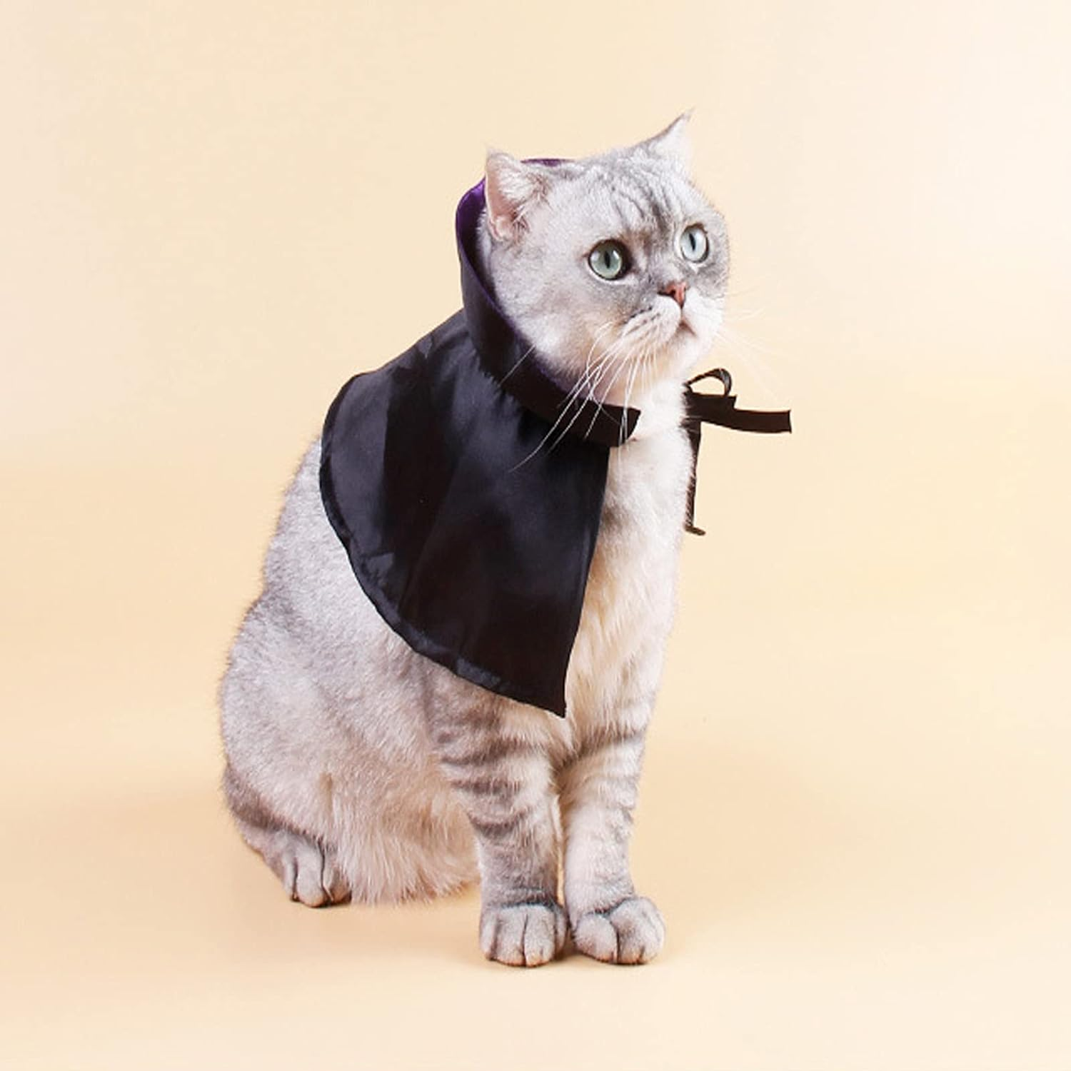 Halloween Pet Cloak Witch Hat Witch Cloak Costume for Small Dogs and Cats Halloween Clothes (L) image number 2