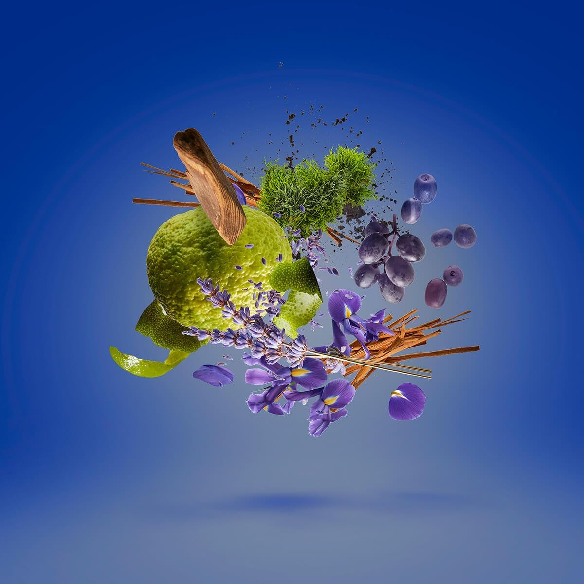 Xerjoff 1888 Regio Eau De Parfum Spray (Unisex) 30Ml image number 2