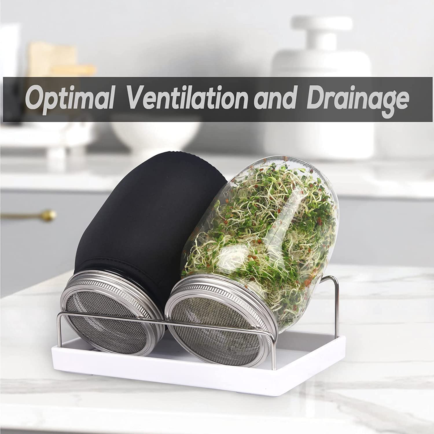 Complete Mason Jar Sprouting Kit. 2 Wide Mouth Quart Sprouting Jars with 316 Stainless Steel Sprouting Lids, Drip Tray and Stand image number 6