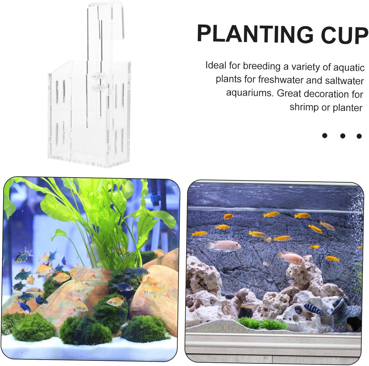 WEKAMOS Water Plant Holder Acrylic Small Aquatic Plant Cup Hanging Planter Pot Suitable for Fish Tank Aquariums with Suction Cup for Aquatic Pets image number 5