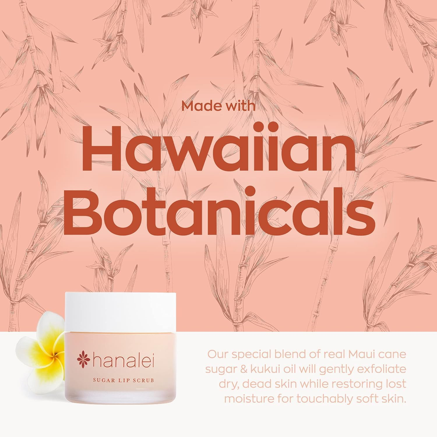 Hanalei Sugar Lip Scrub, Made with Raw Cane Sugar and Real Hawaiian Kukui Nut Oil (Cruelty Free, Paraben Free) (SLS)