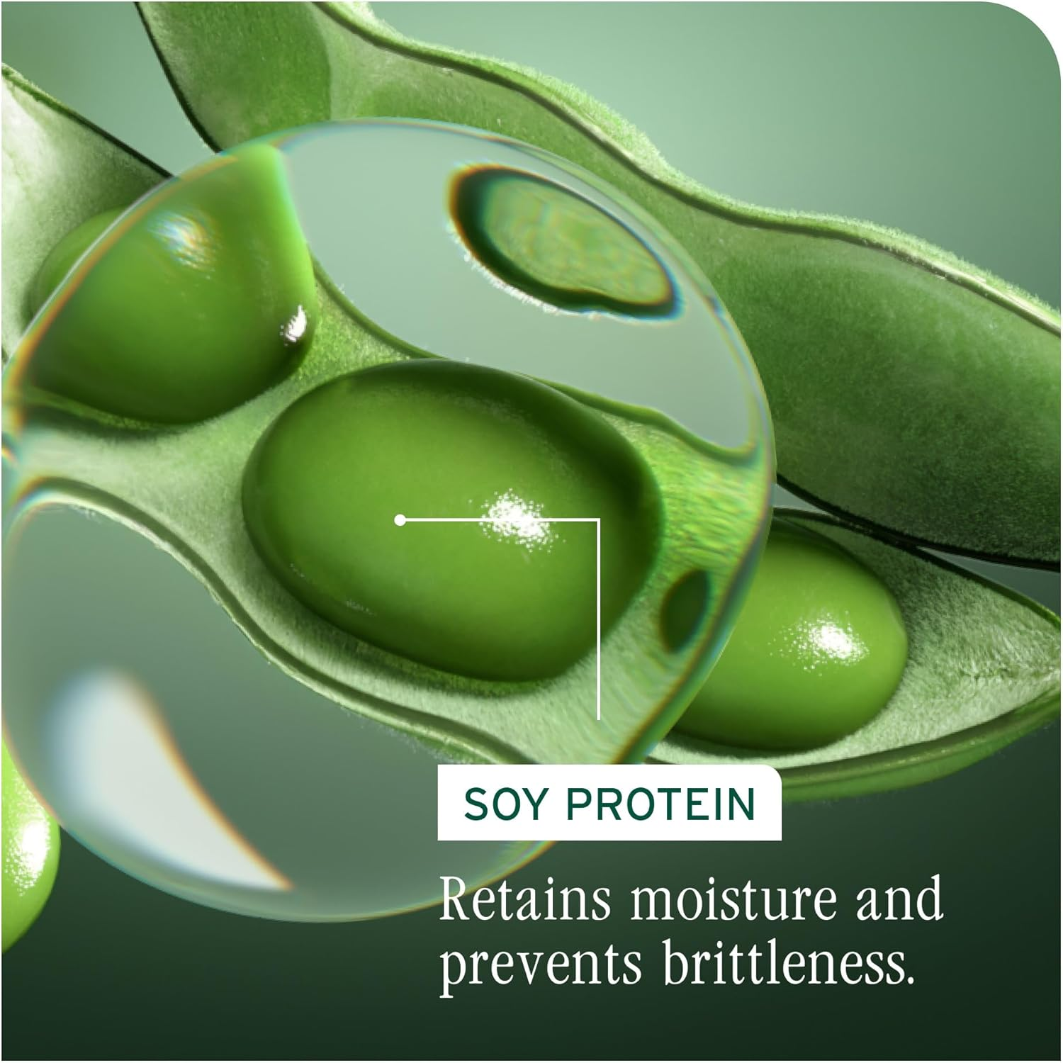 Matrix Biolage Volumebloom Shampoo for Unisex - 33.8 Oz Shampoo, 1 Liters