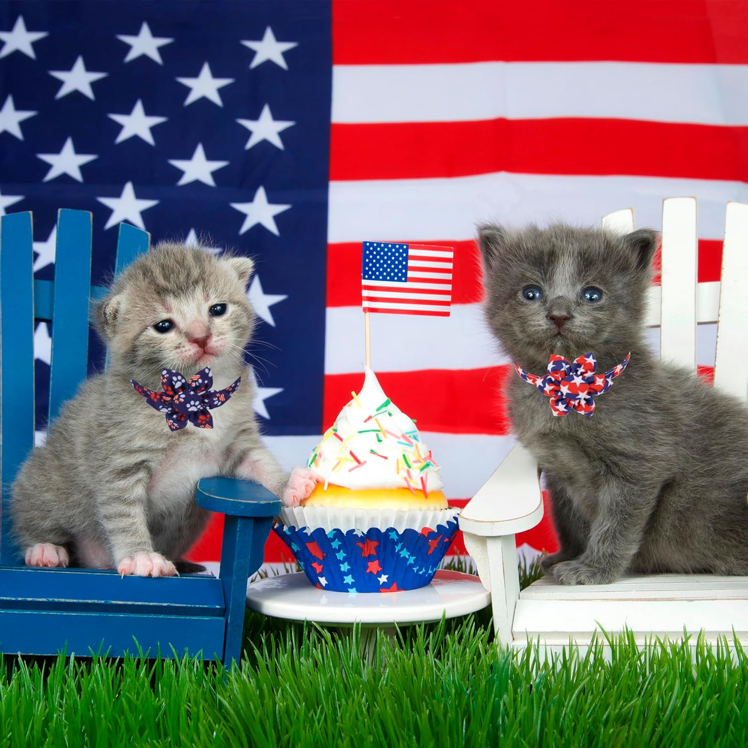 ADOGGYGO American Flag Cat Collars with Removable Flower Bell, Adjustable 4Th of July Cat Floral Collars Red Blue Cat Flag Collars for Cats Kittens (4Th of July) - 4Th Of July image number 5