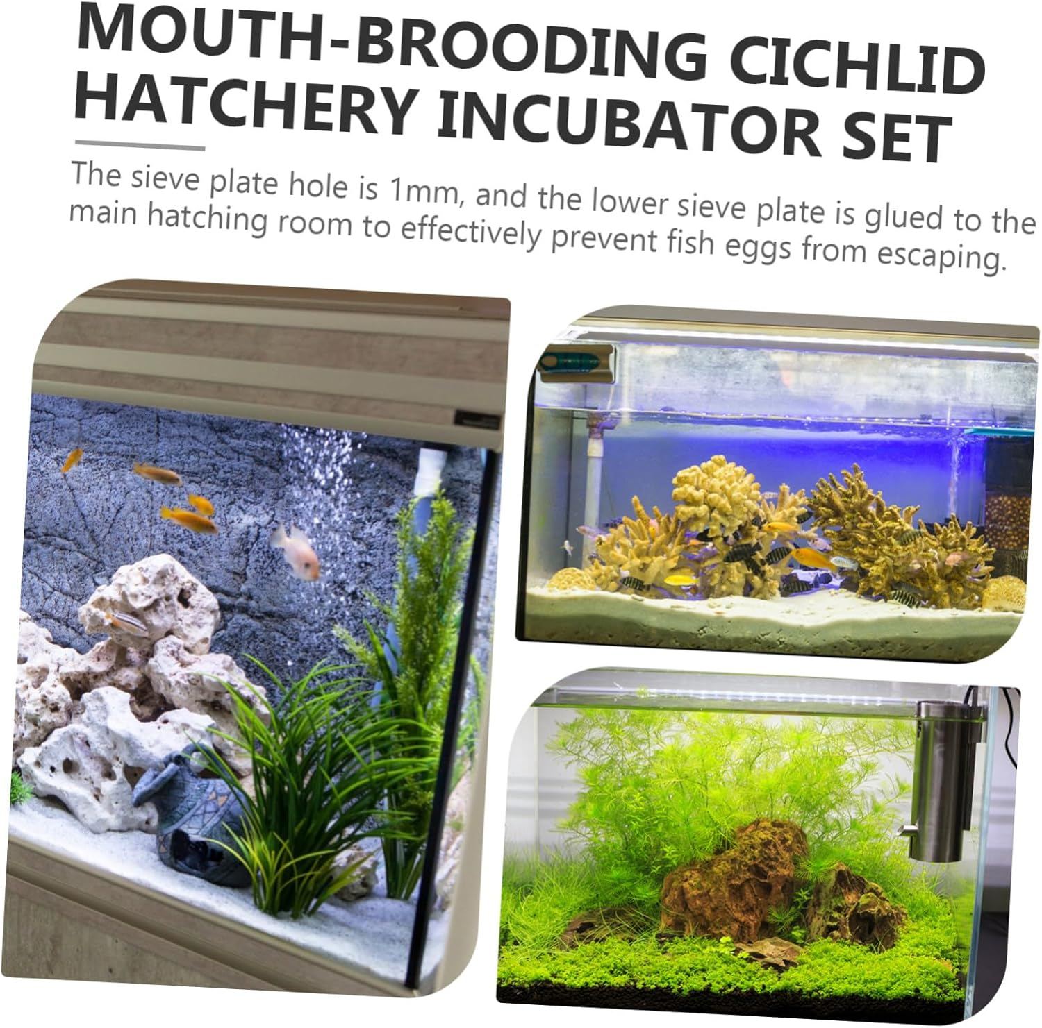 GARVALON Cichlid Hatchery Incubator Tube 40Mm Aquarium Fish Egg Breeding Tank Tropical Mouth-Brooding Fish Fry Hatchery Supply for Aquatic Pets Random Style image number 2