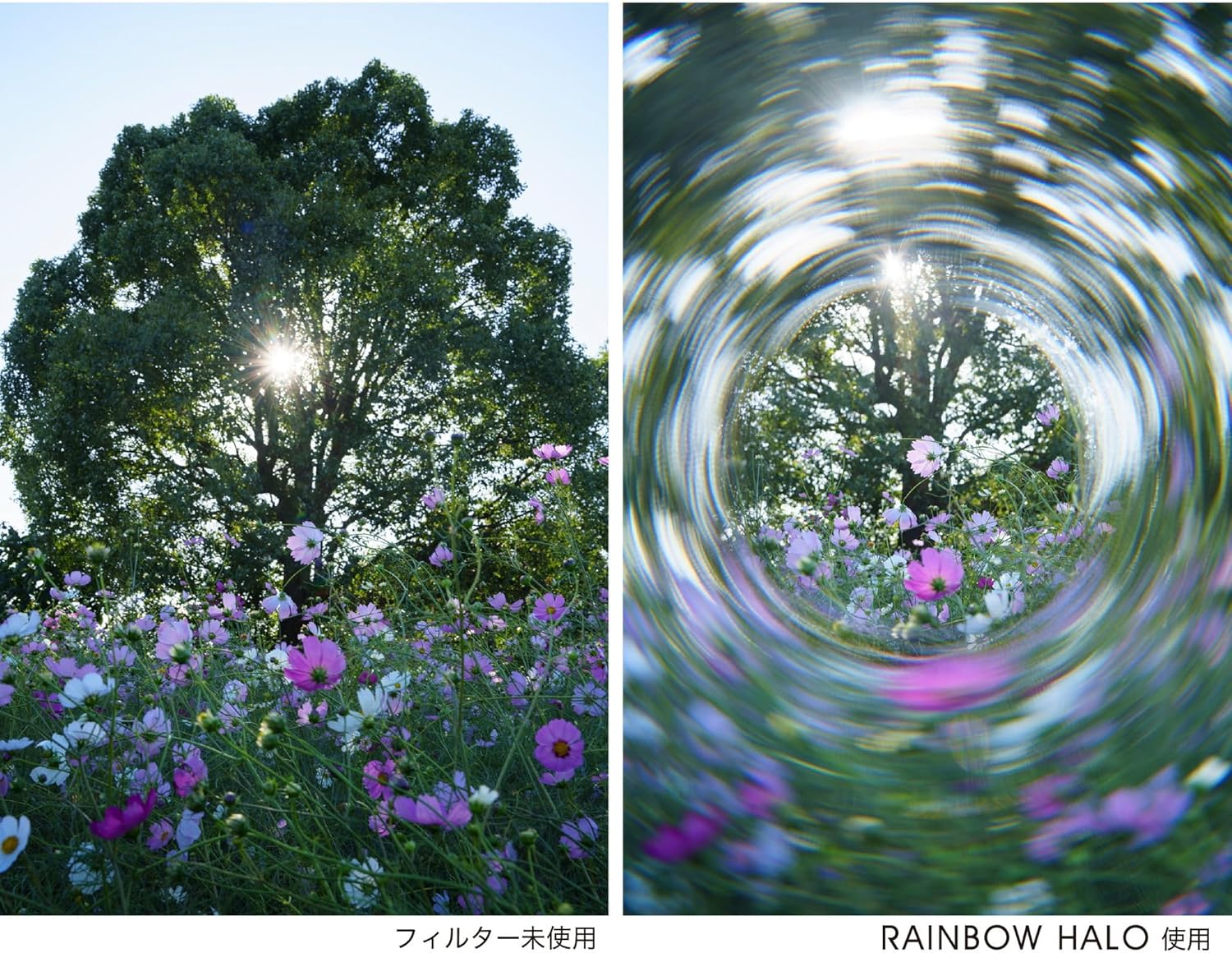 Kenko 738214 Rainbow Halo 82Mm Swirl Bokeh & Light Ring Effect Prism Filter with Soft Case Glass image number 4