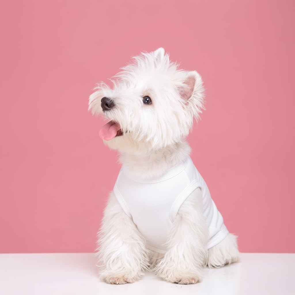 Chol & Vivi Dog Shirts Clothes, Dog Clothes T Shirt Vest Soft and Thin, 2Pcs Blank Shirts Clothes Fit for Extra Small Medium Large Extra Large Size Dog Puppy, Medium Size, Black and White image number 3