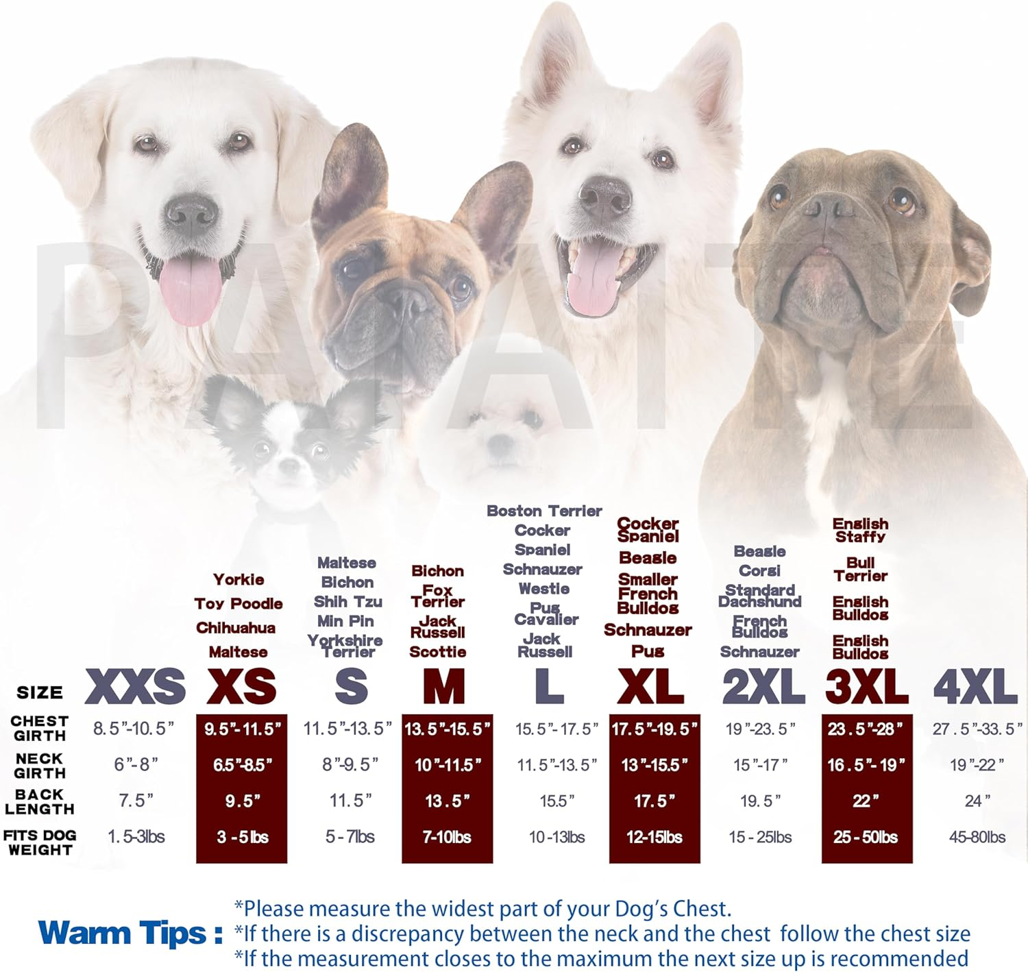 Paiaite Black Chihuahua Dog Hoodie: Keep Your Pup Warm and Stylish with a 'The Dog Face' Printed Sweatshirt, Pet Clothes and Sweater Coat All in One Perfect for Winter and Cool Summer Nights! Black S image number 1