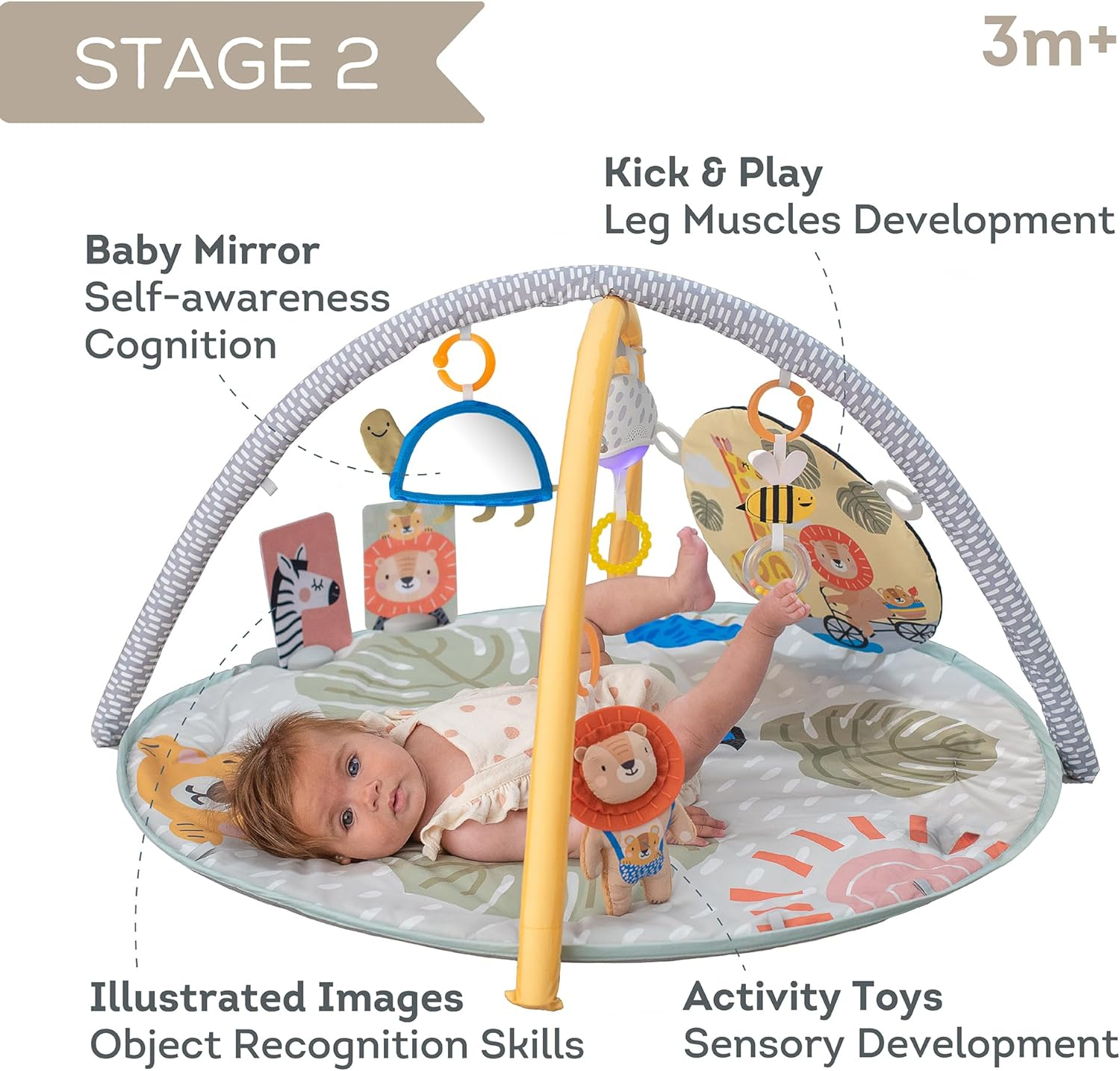 Taf Toys Savannah 360&deg; Activity Gym with Music & Light & 20 Playful Activities, Thickly Padded with Soft Mat and a Unique &ldquo;Crinkle Toy&rdquo; for a Variety of Body Positioning for Newborn and Up