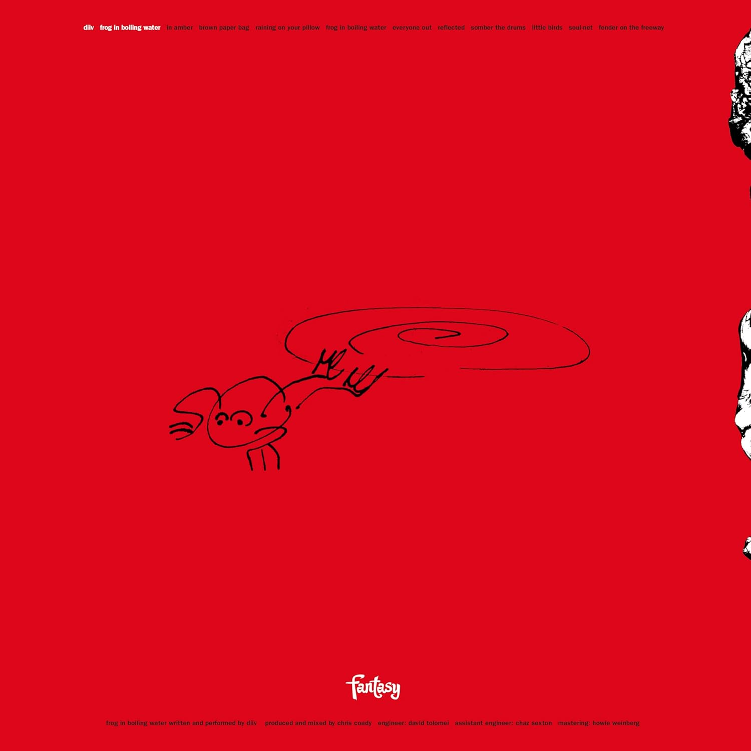 Frog in Boiling Water image number 2