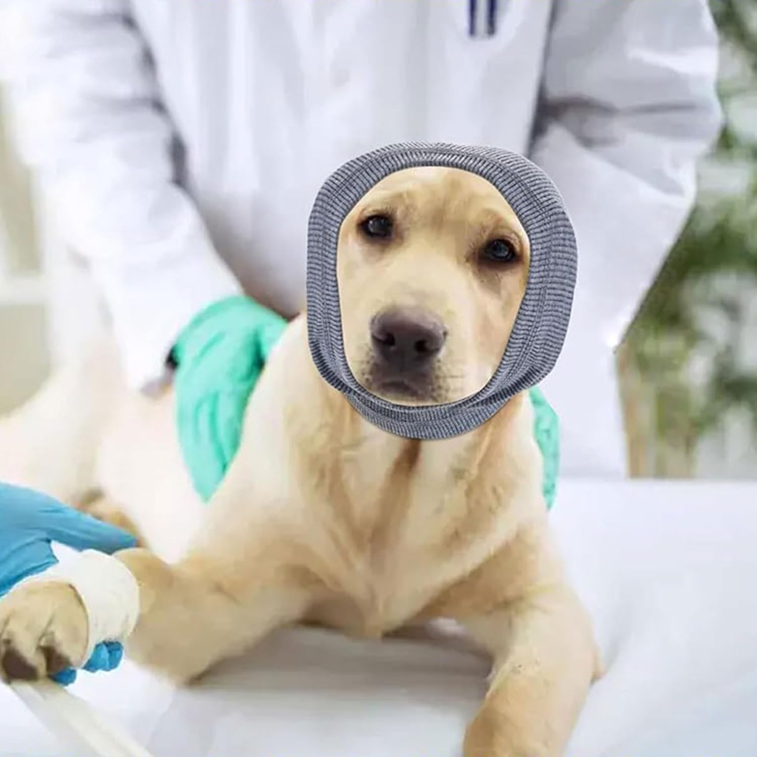 YIYUIUR Dog Ear Muffs Noise Protection Covers Dog Calming Hoodie for Grooming and Force Drying, Comfort Hoodie for Anxiety (Grey, L) image number 5