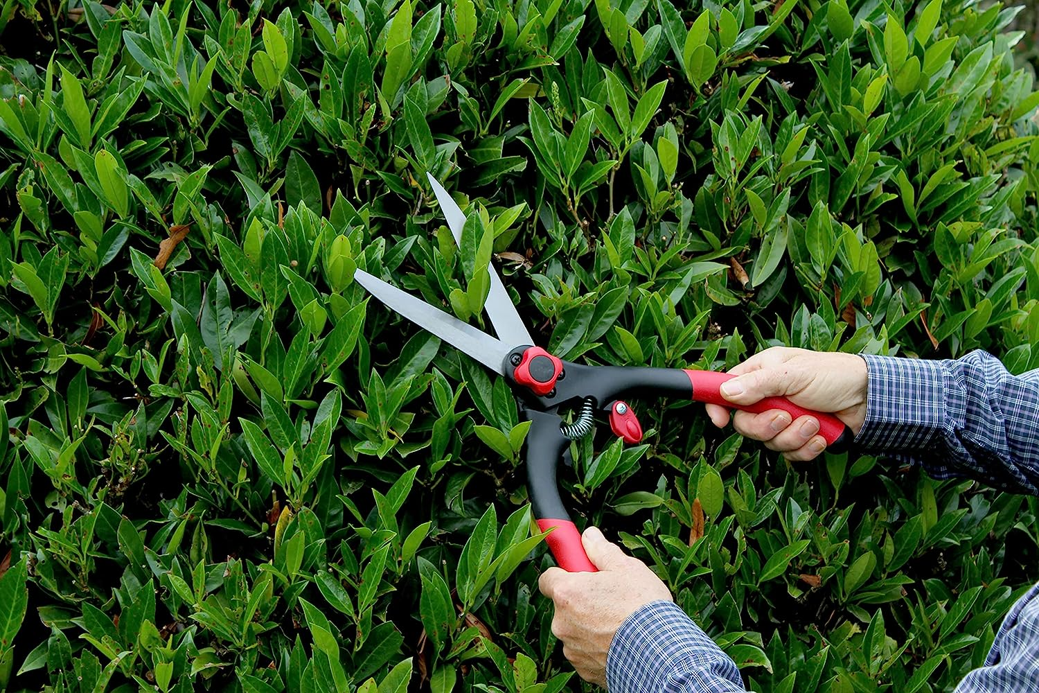 Darlac Classic Garden Shears, Lightweight Hedge Trimmers, Grass Snips with High Carbon Steel Blades, 440Mm image number 2