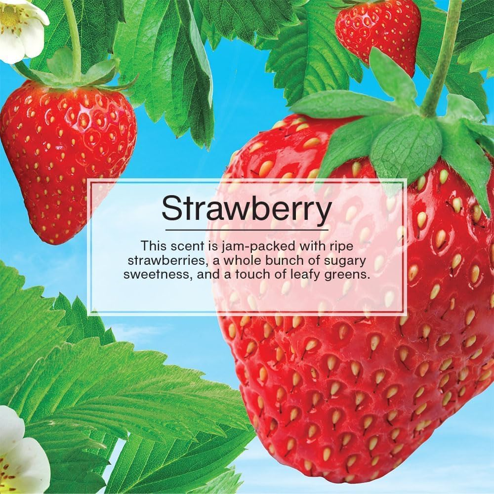 Little Tree Strawberry Air Freshener Pump Spray 103 Ml