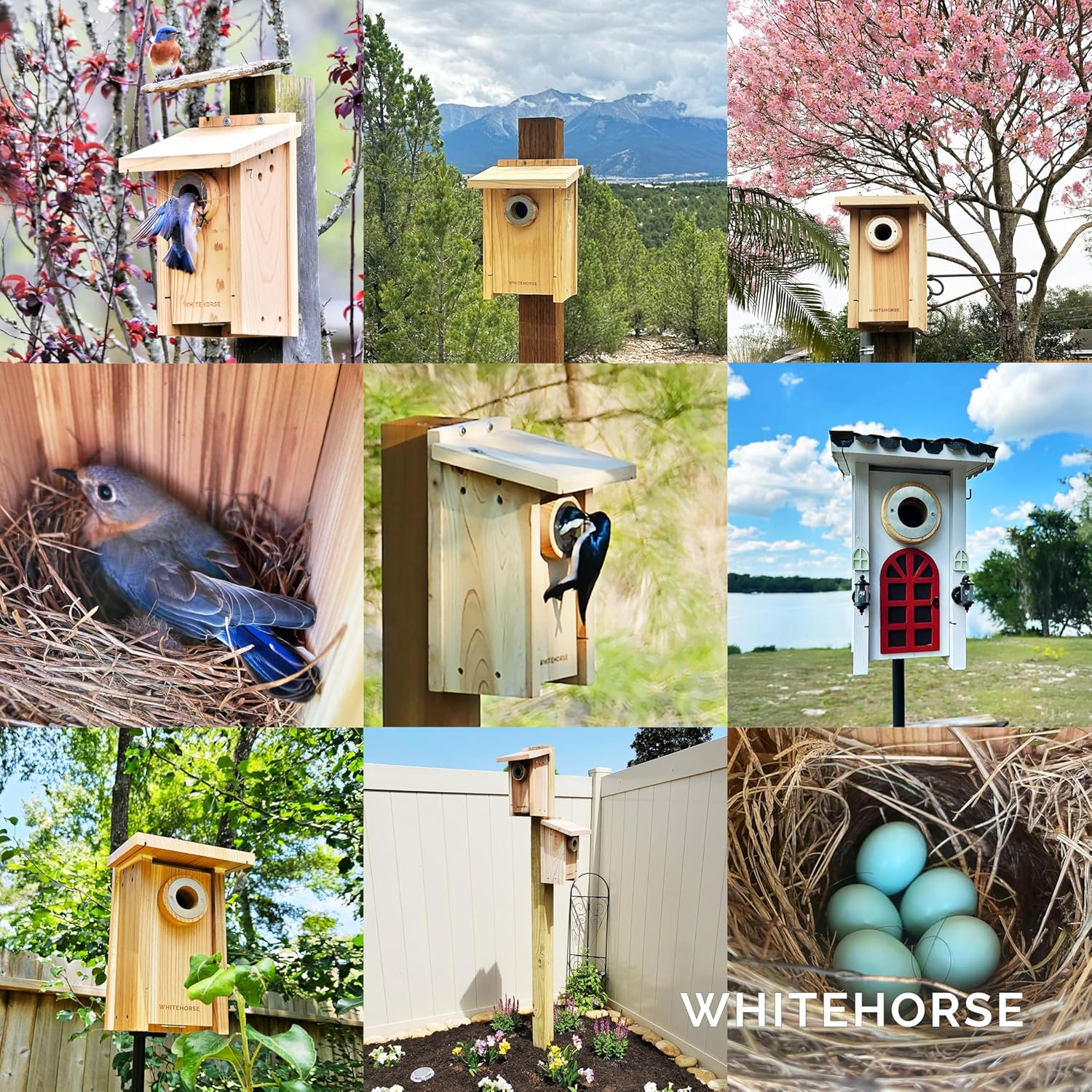 WHITEHORSE Premium Bird House - a Bird Box Built to Certification Specs - Nestbox for Various Australian Species - Weatherproof Bird Houses for Outdoors image number 6