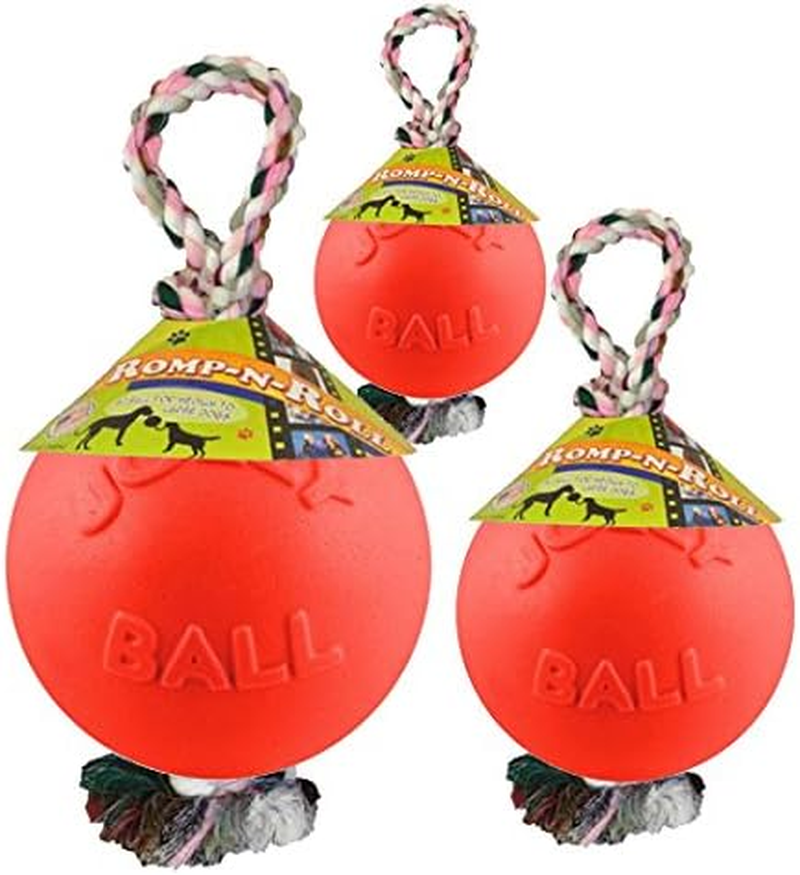 Jolly Pets Romp-N-Roll Rope and Ball Dog Toy, 8 Inches/Large, Orange image number 4