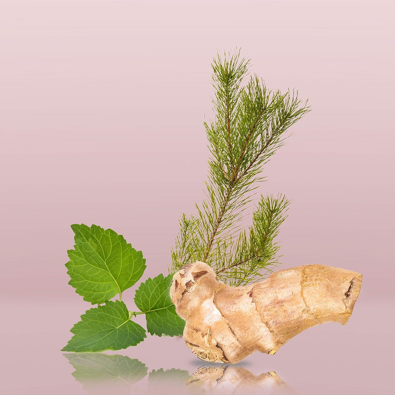 Calvin Klein CK EPM RG EDT Ns50Ml LIL 20IV image number 6