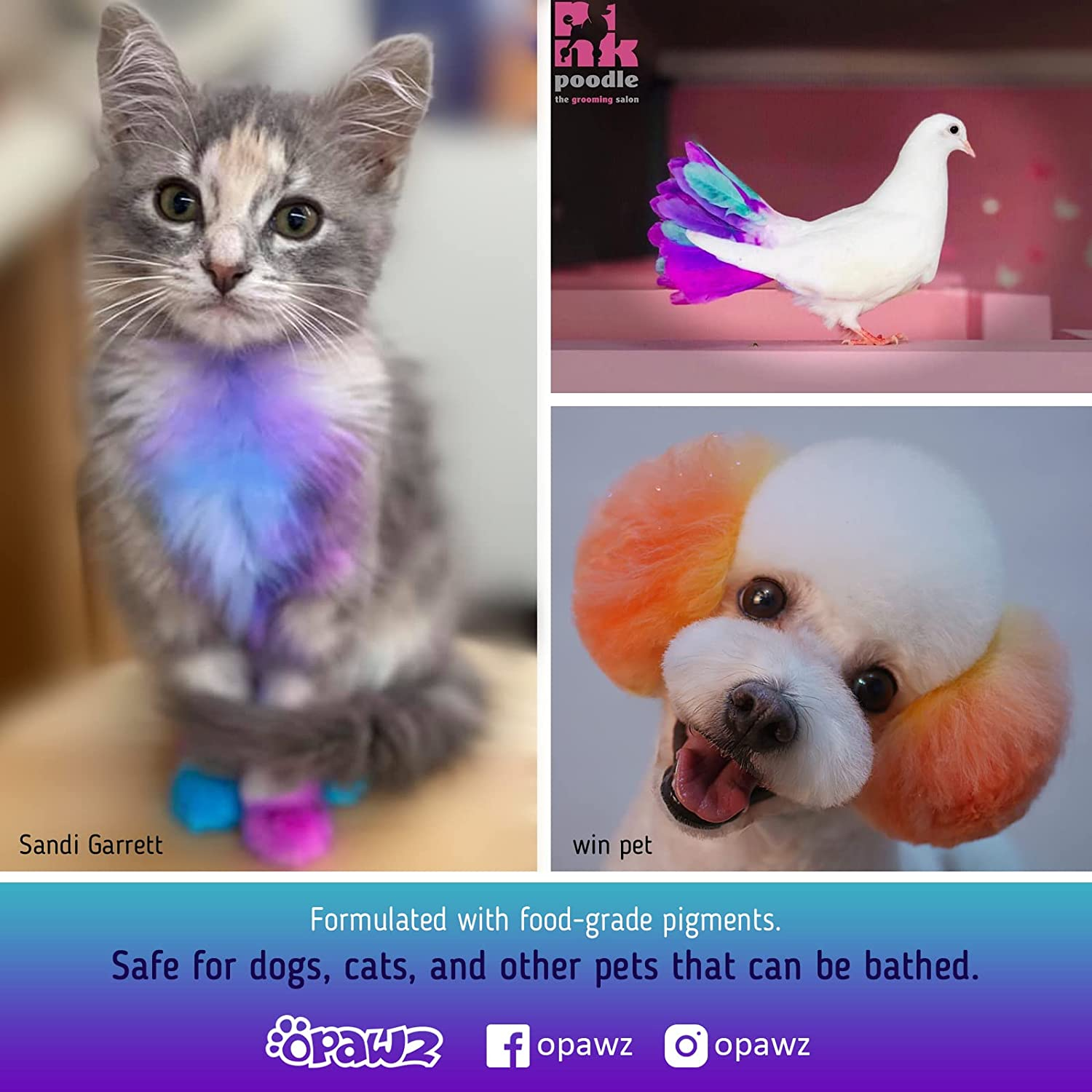 OPAWZ Semi-Permanent Dog Hair Dye, Food-Grade Pigment Dog Dye, Non-Toxic Pet Hair Dye for Dogs, Cats and All Pets Can Be Bathed (Kelly Green)