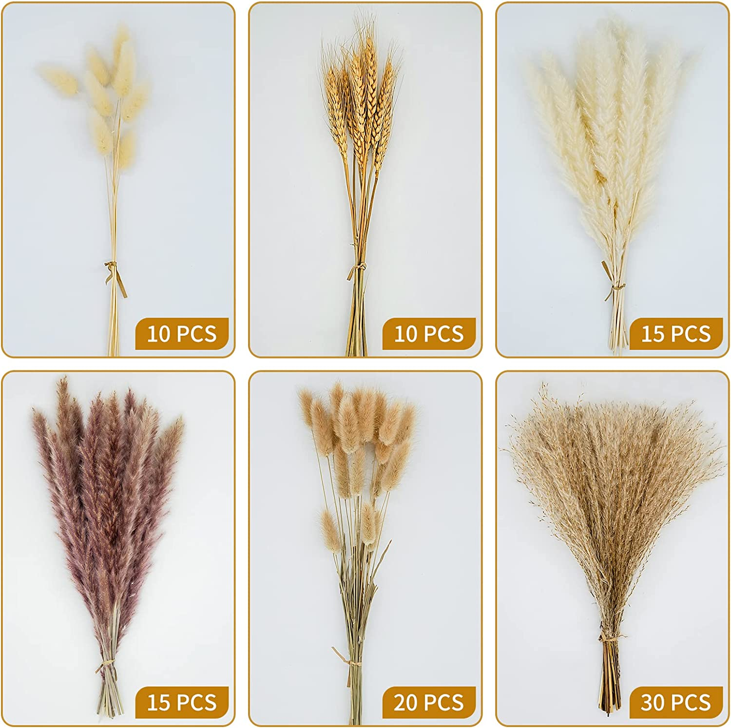 100 Pcs Pampas Grass - Natural Pampas & Reed Grass & Bunny Tails & Dried Wheat for Dried Flowers Arrangements Boho Wedding Home Decor image number 3