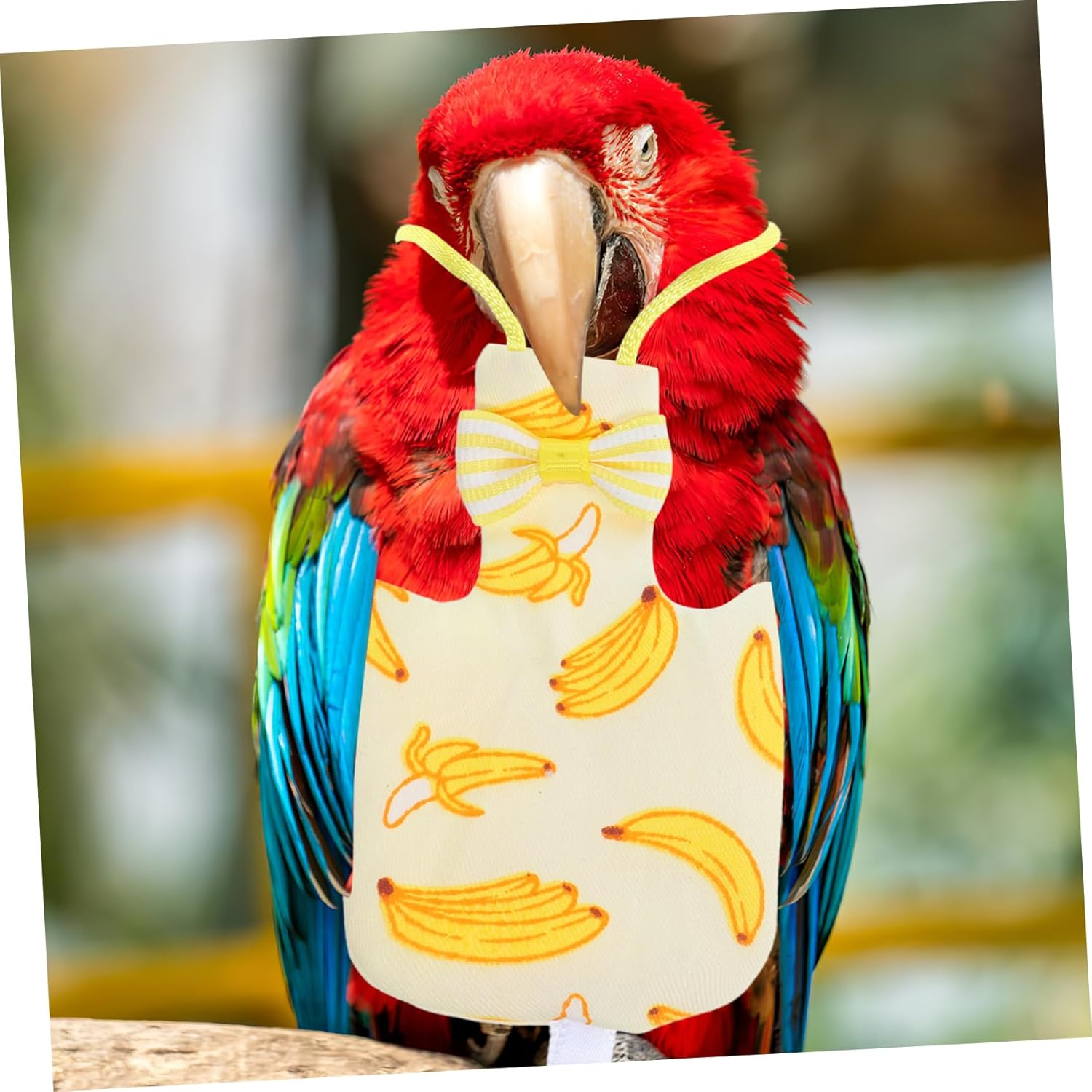 Hohopeti 2Pcs Parrot Diaper Nappy Flight Suit Comfortable and Washable Clothing for Pigeons Lightweight and Skin-Friendly Design for Outdoor Activities S image number 2