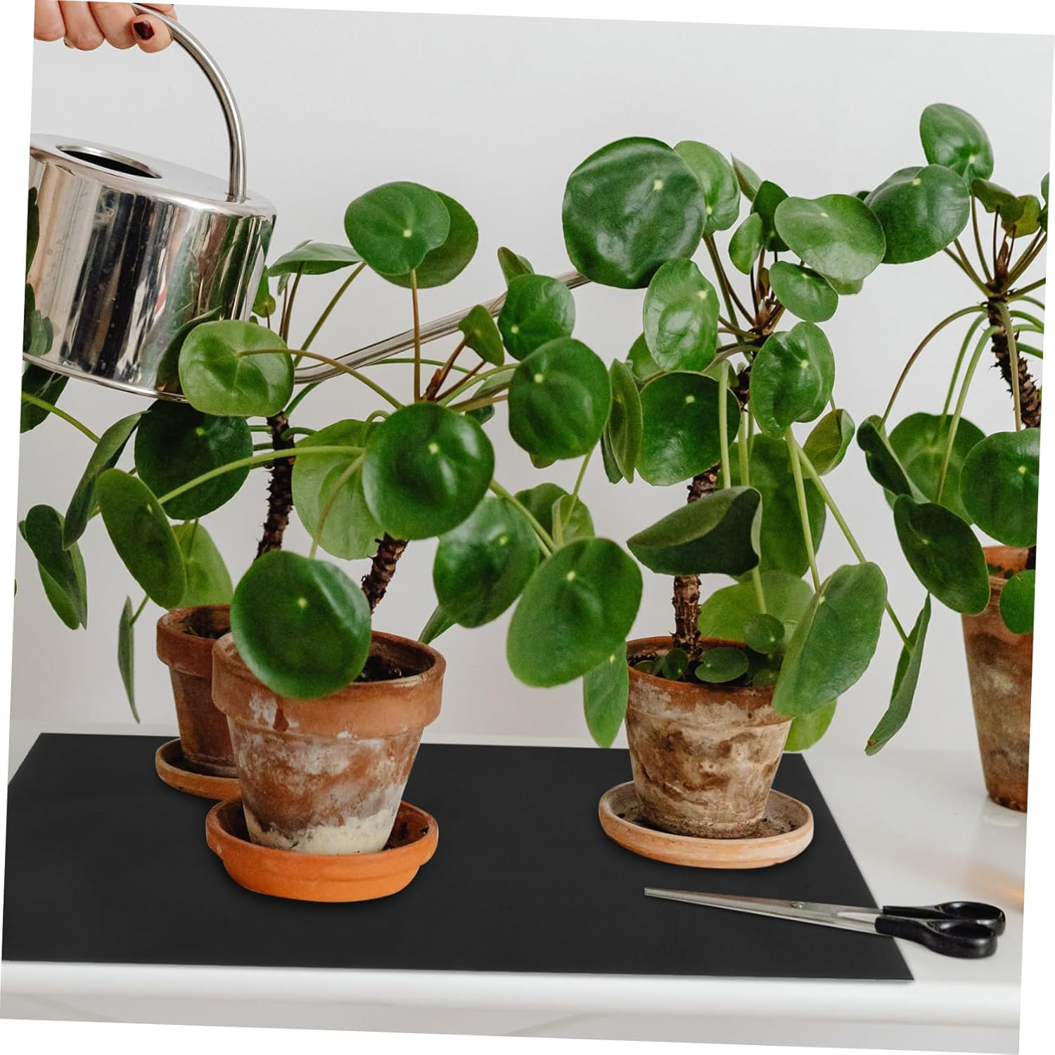 Abaodam Plant Mat Automatic Irrigation System Black Capillary Mat Cushion for Indoor Potting Hydroponics Supplies image number 4