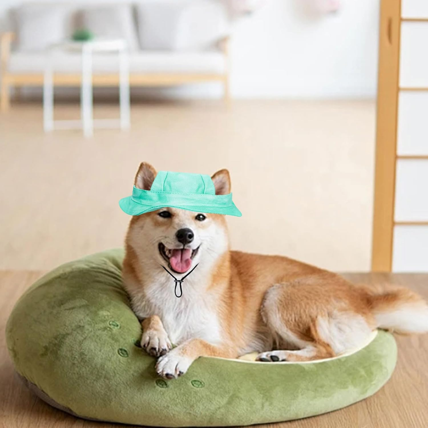 Dog Sun Hat, 1 Piece Adjustable Dog Sun Protection Hat with Ear Holes, round Brim Dog Visor Cap, Pet Fishing Hat for Puppies, Small Dogs, Cats, Outdoor Sports (Green, M) image number 7